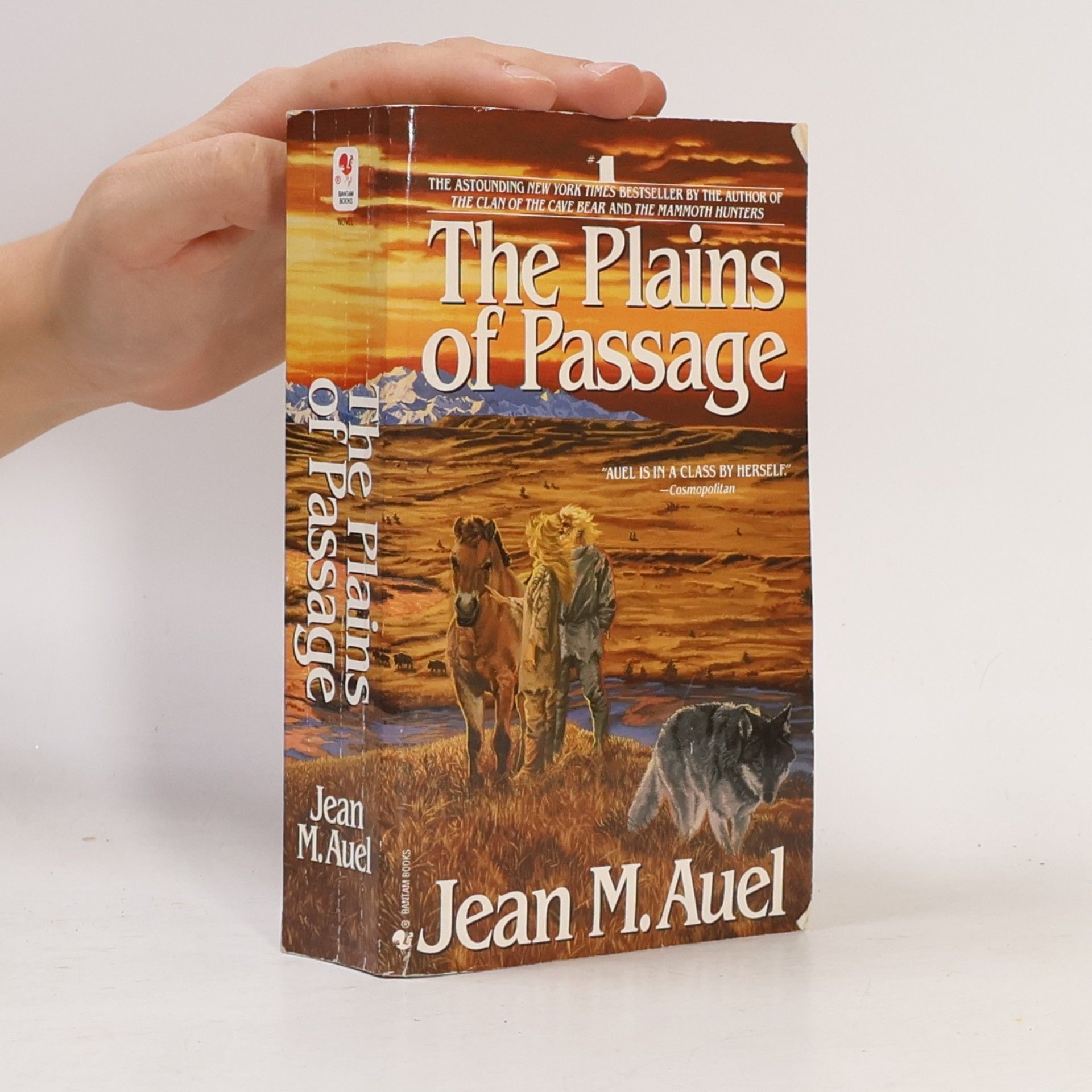Jean M. Auelová The Plains of Passage