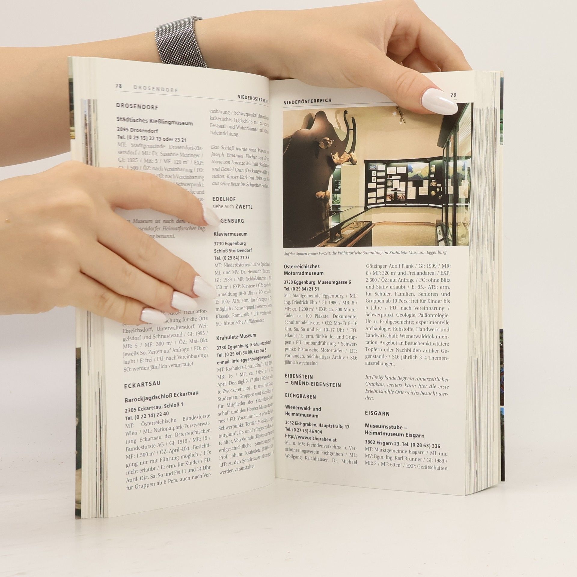 Autorenkollektiv Museumsführer Österreich