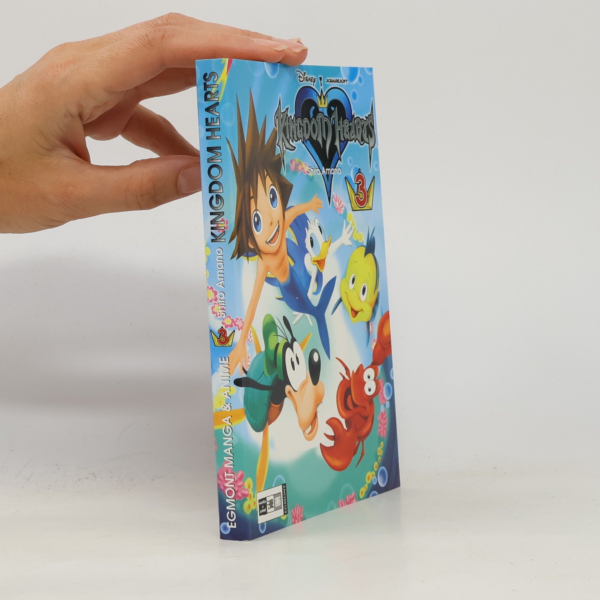Autorenkollektiv Kingdom hearts