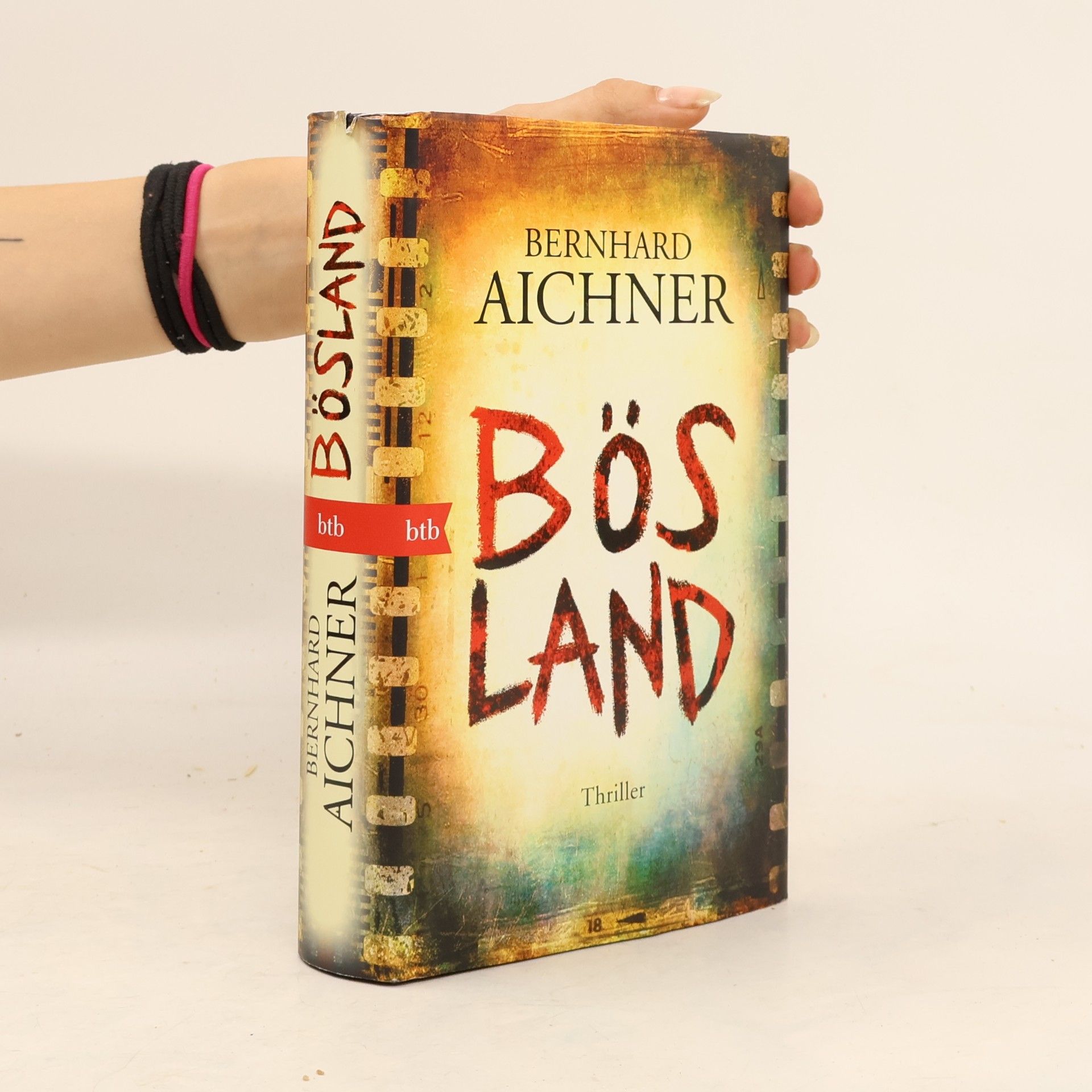 Bernhard Aichner Bösland