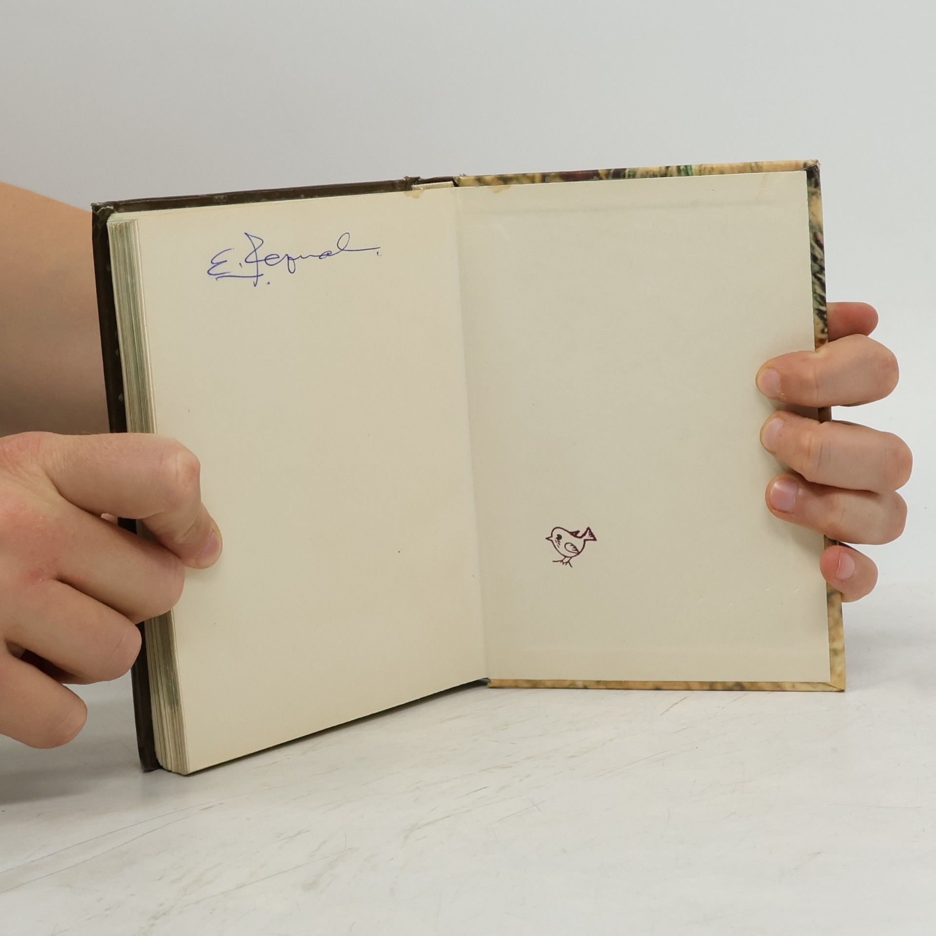 Zdeněk Veger Kapesní atlas cizokrajných ptáků