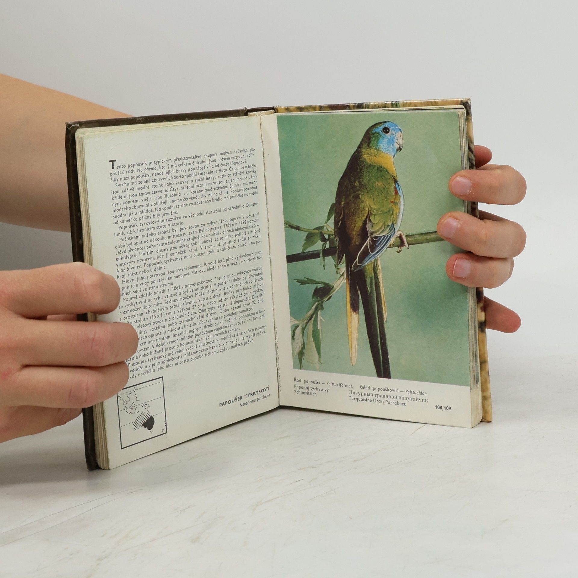Zdeněk Veger Kapesní atlas cizokrajných ptáků