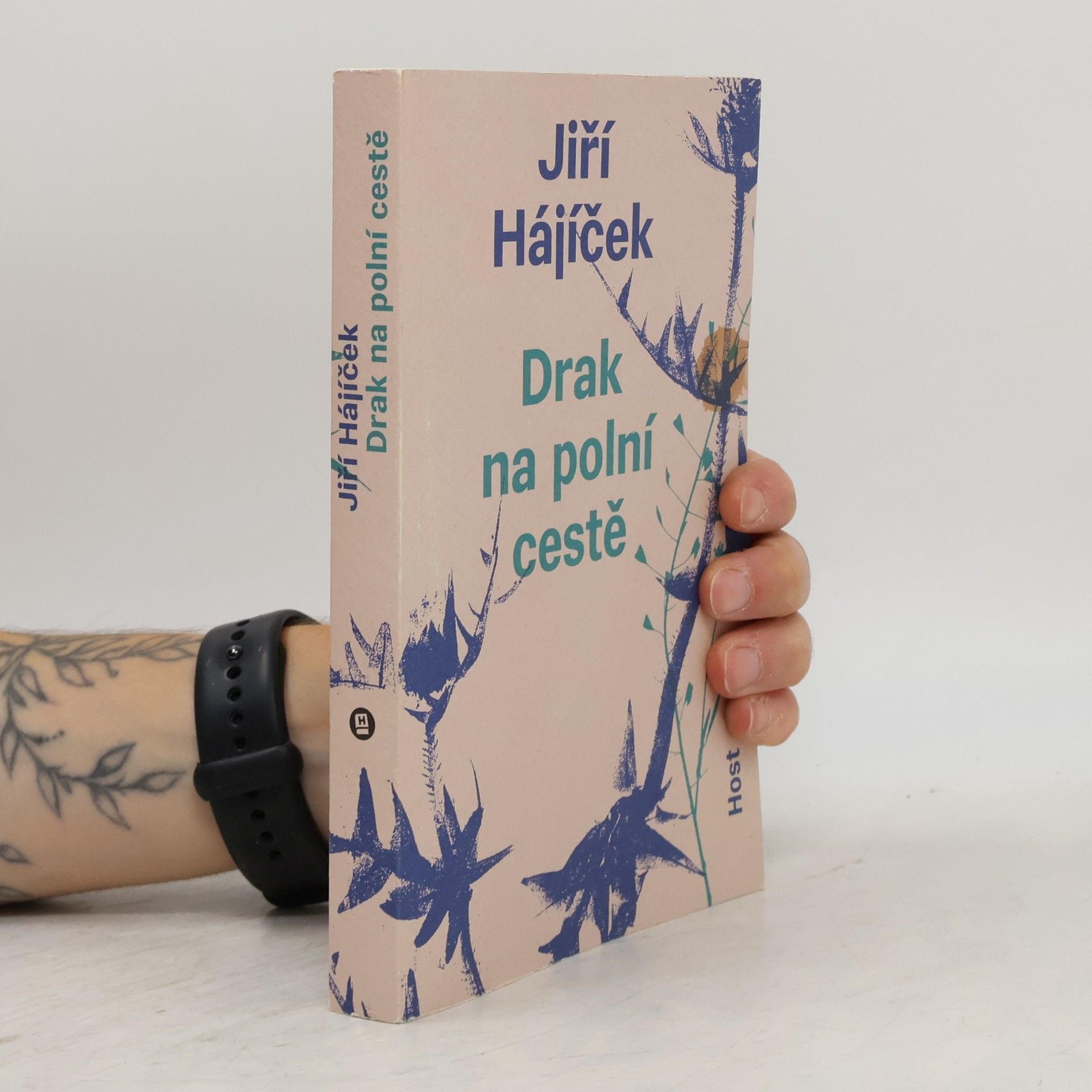 Jiří Hájíček Drak na polní cestě
