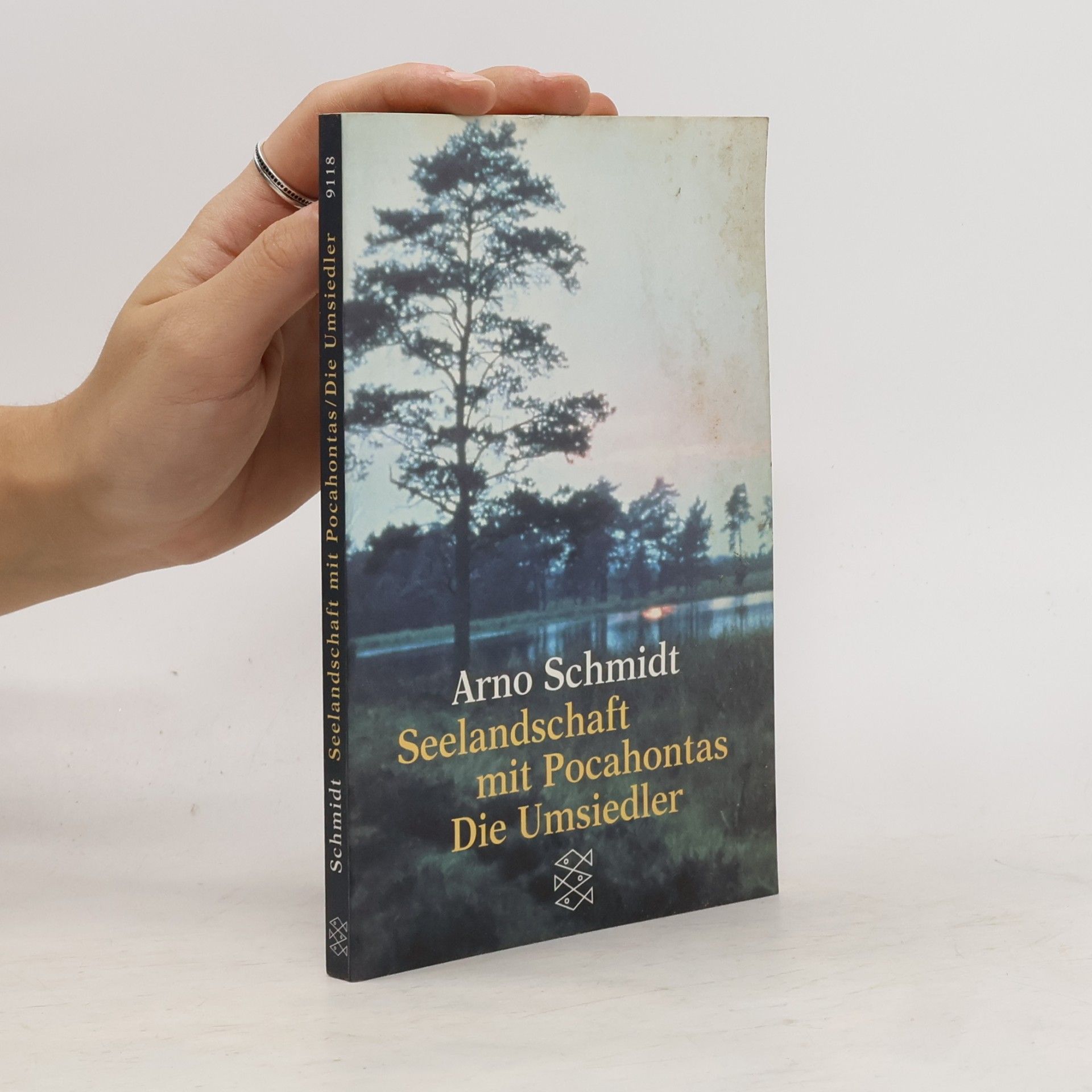 Arno Schmidt Seelandschaft mit Pocahontas. Die Umsiedler