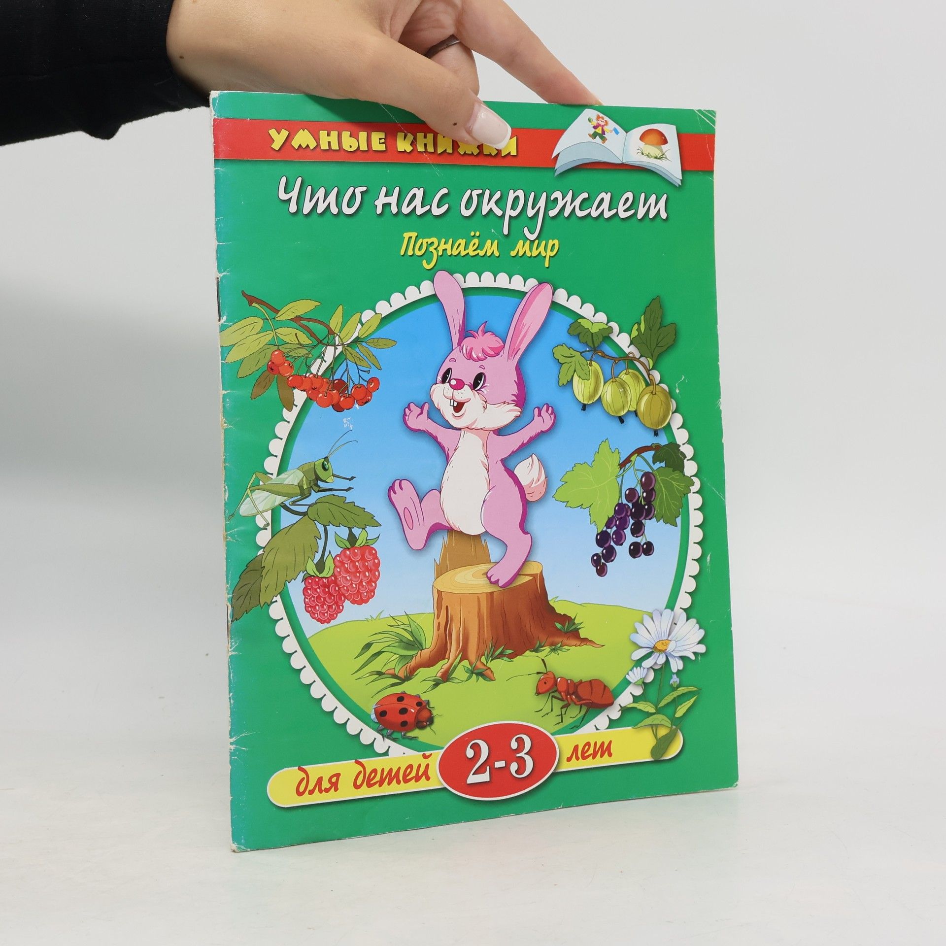 Collectif d'auteurs Что нас окружает. Познаем мир