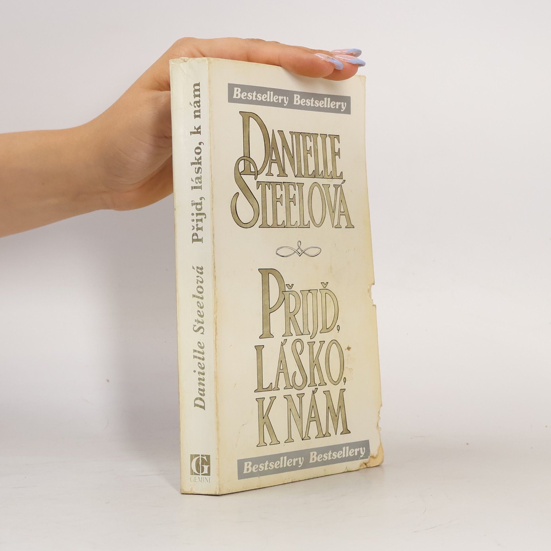 Danielle Steel Přijď lásko k nám