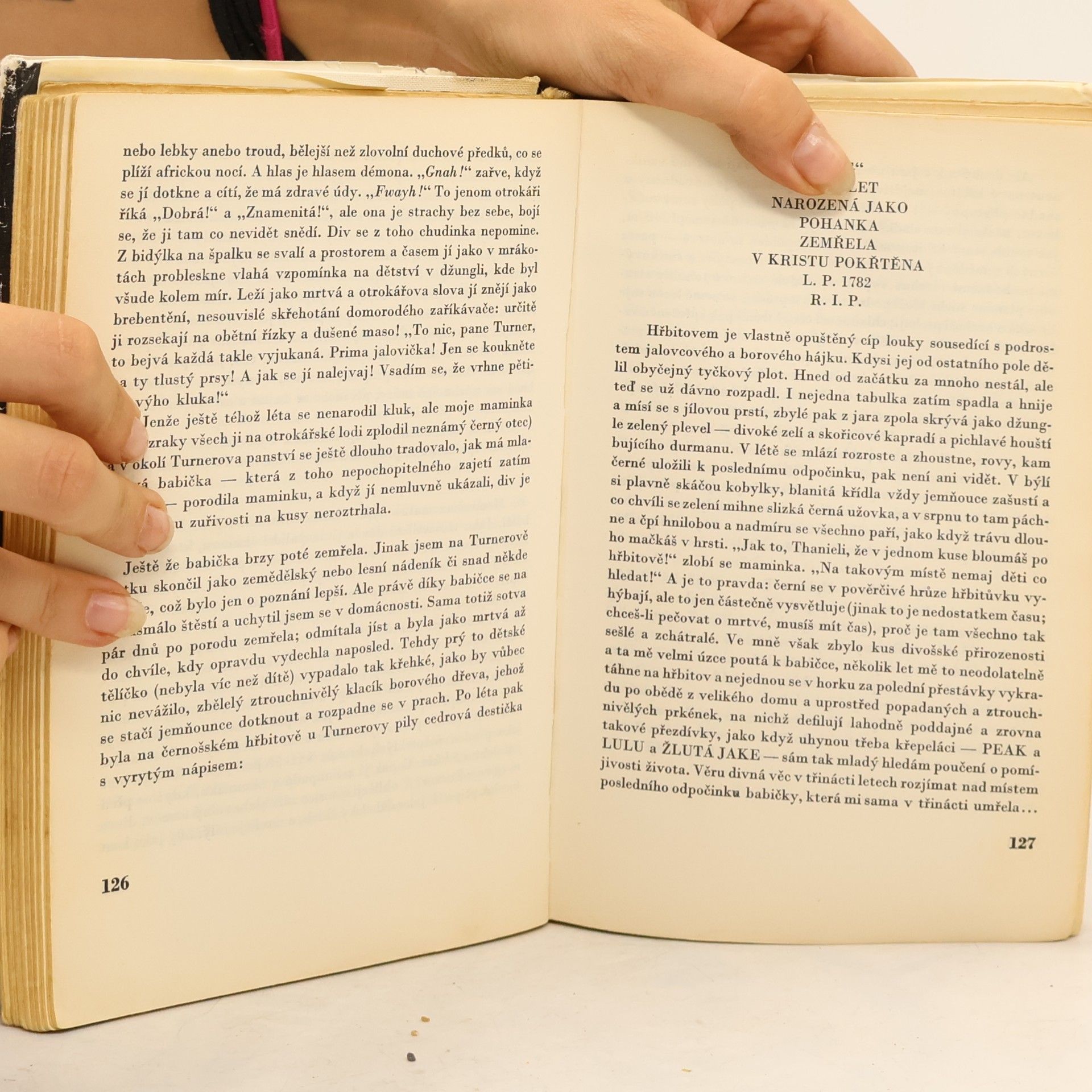 William Styron Doznání Nata Turnera