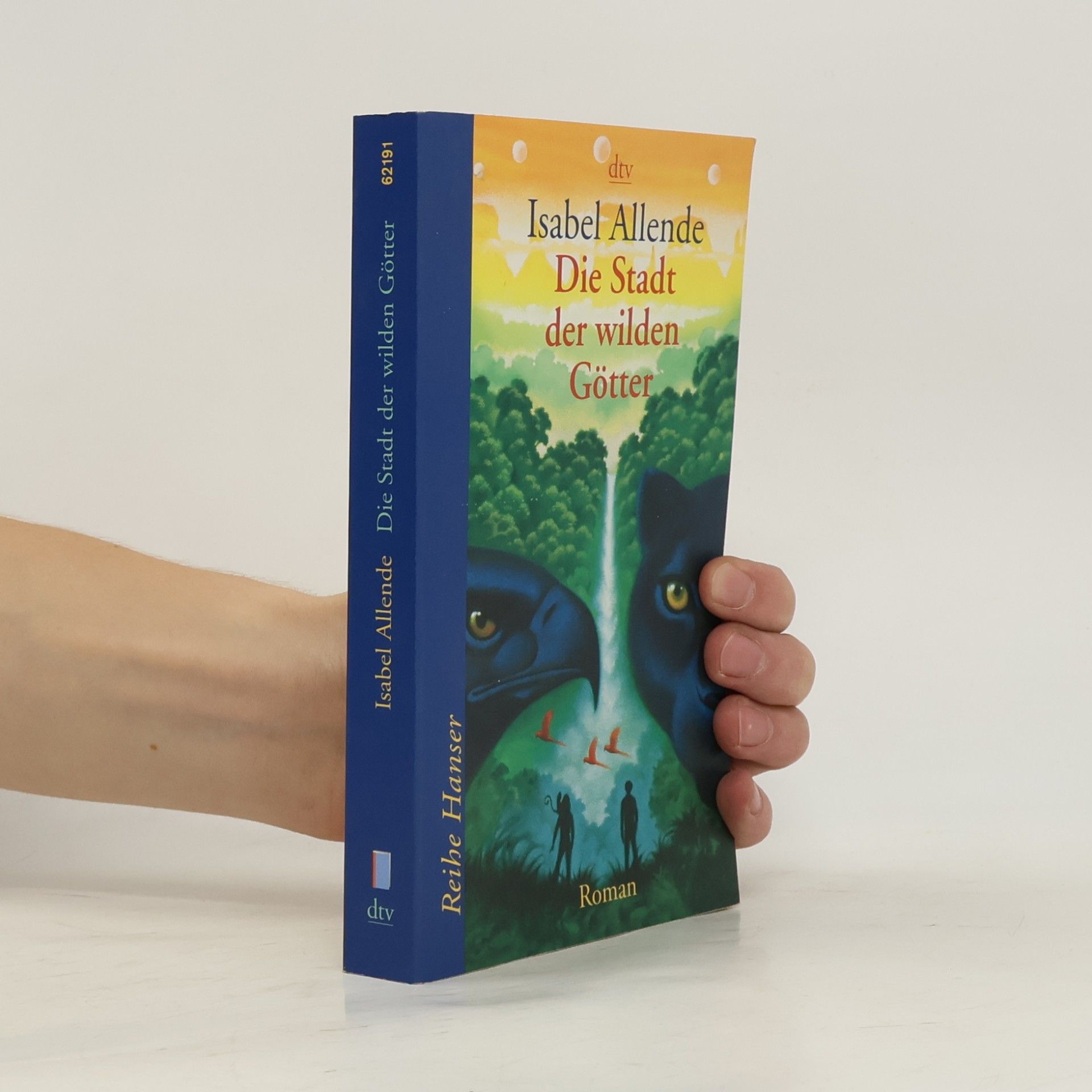 Isabel Allende Llona Die Stadt der wilden Götter
