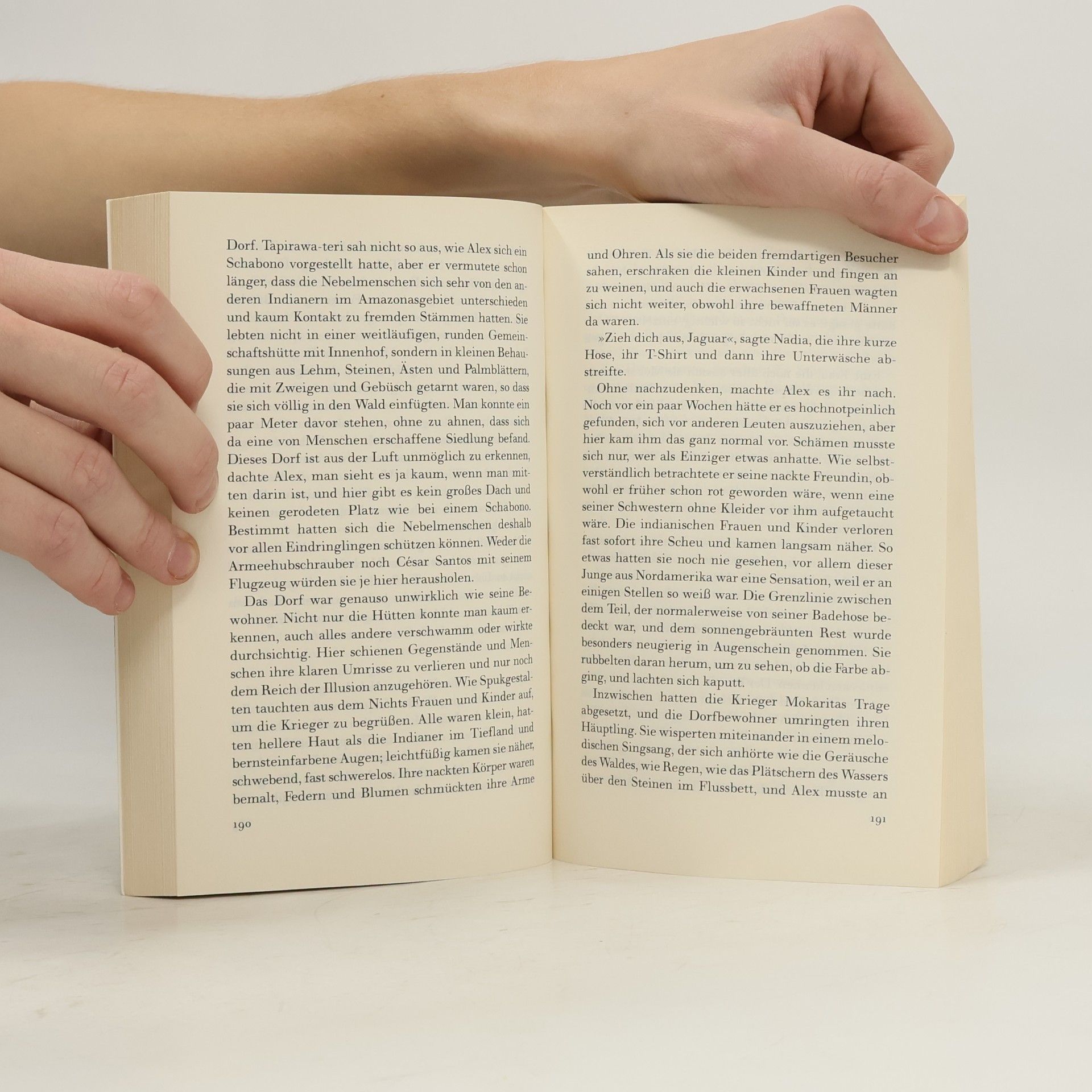 Isabel Allende Llona Die Stadt der wilden Götter