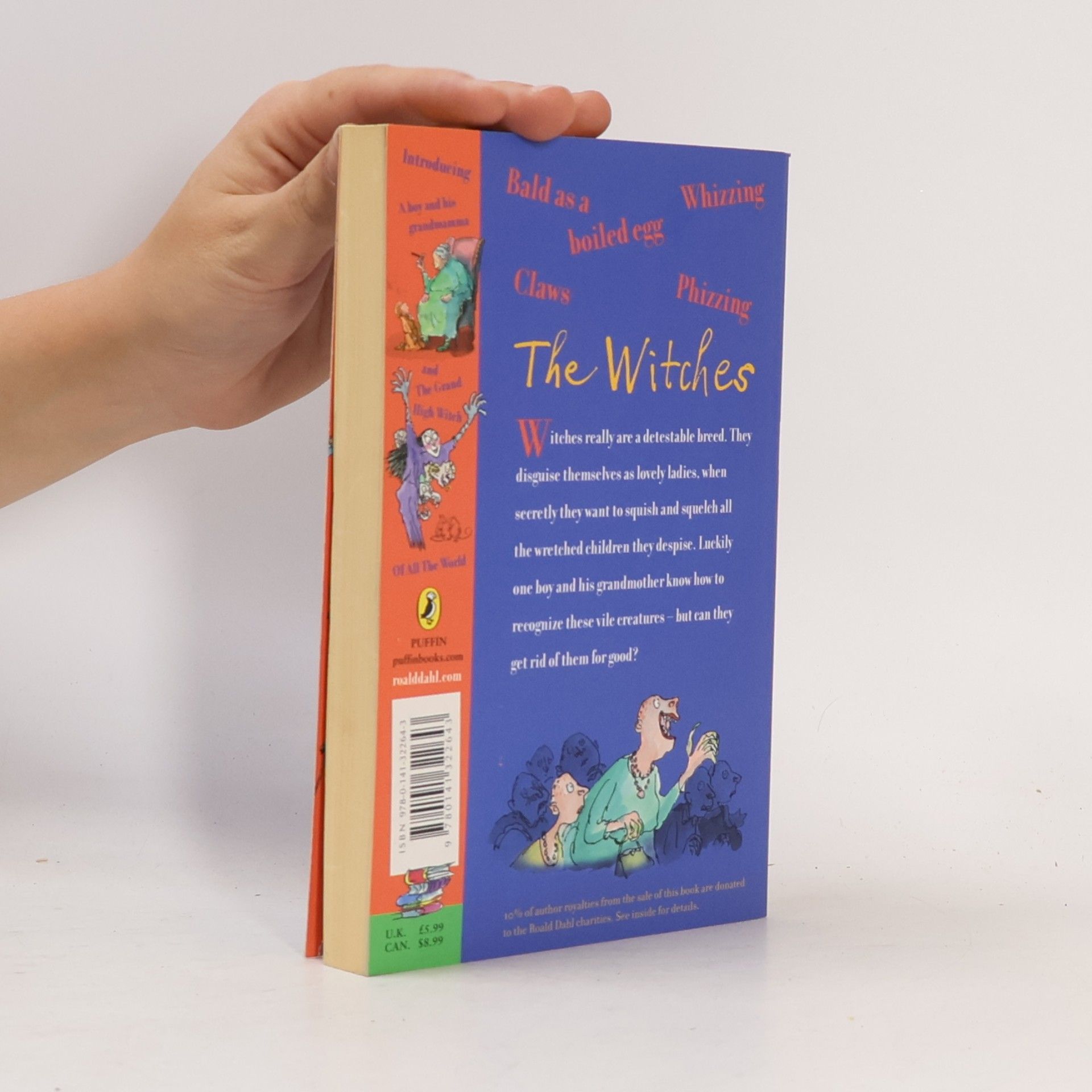 Roald Dahl The Witches
