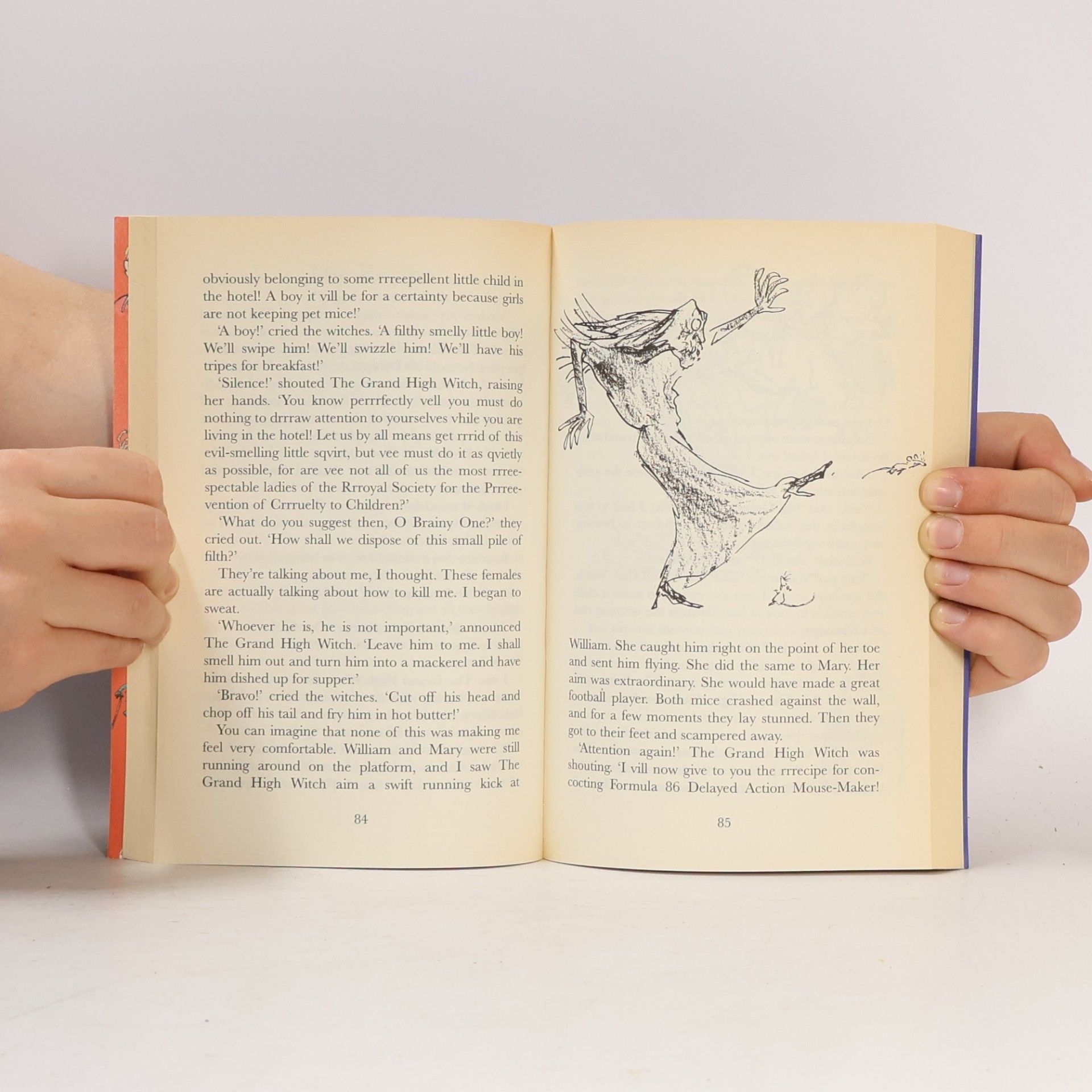 Roald Dahl The Witches