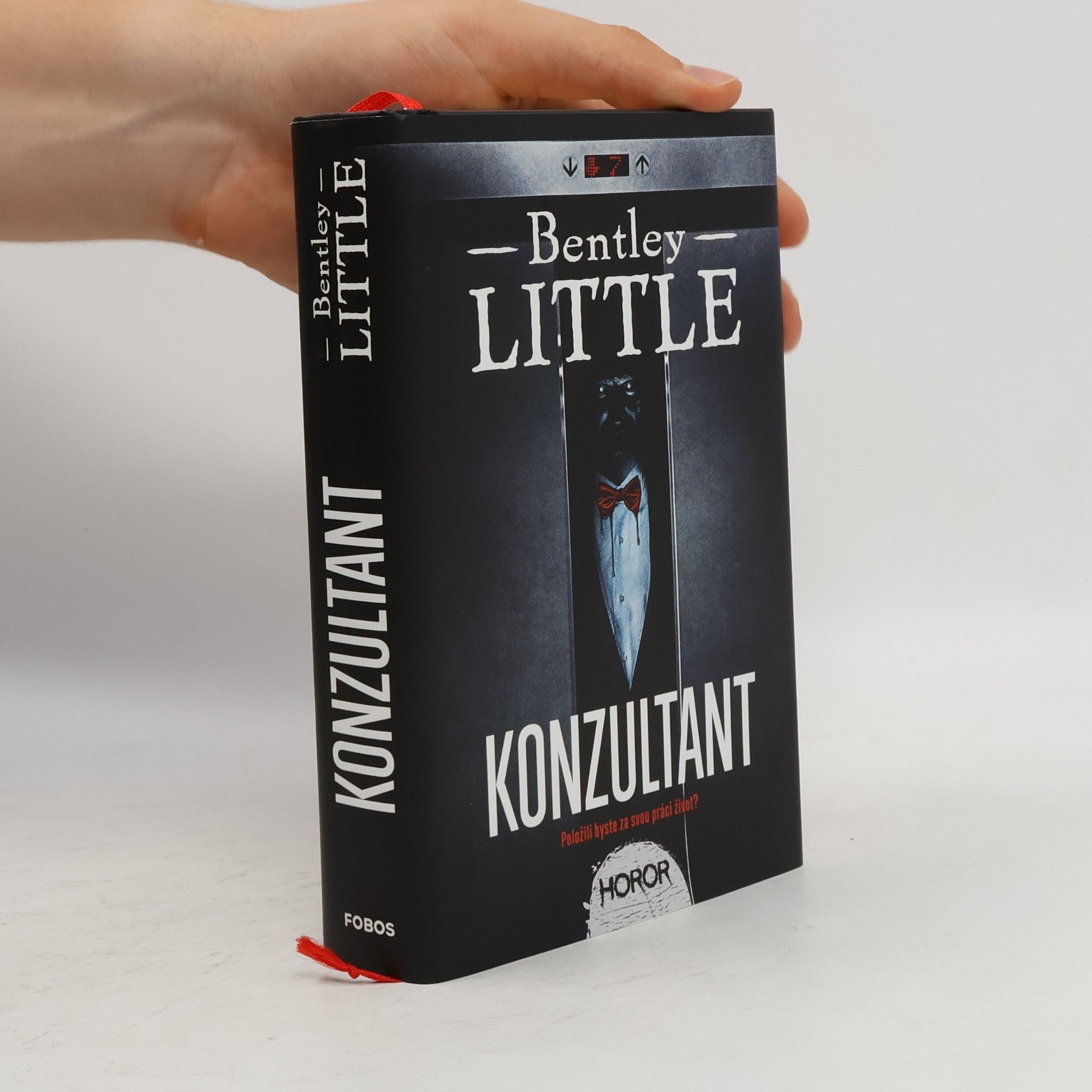 Bentley Little Konzultant