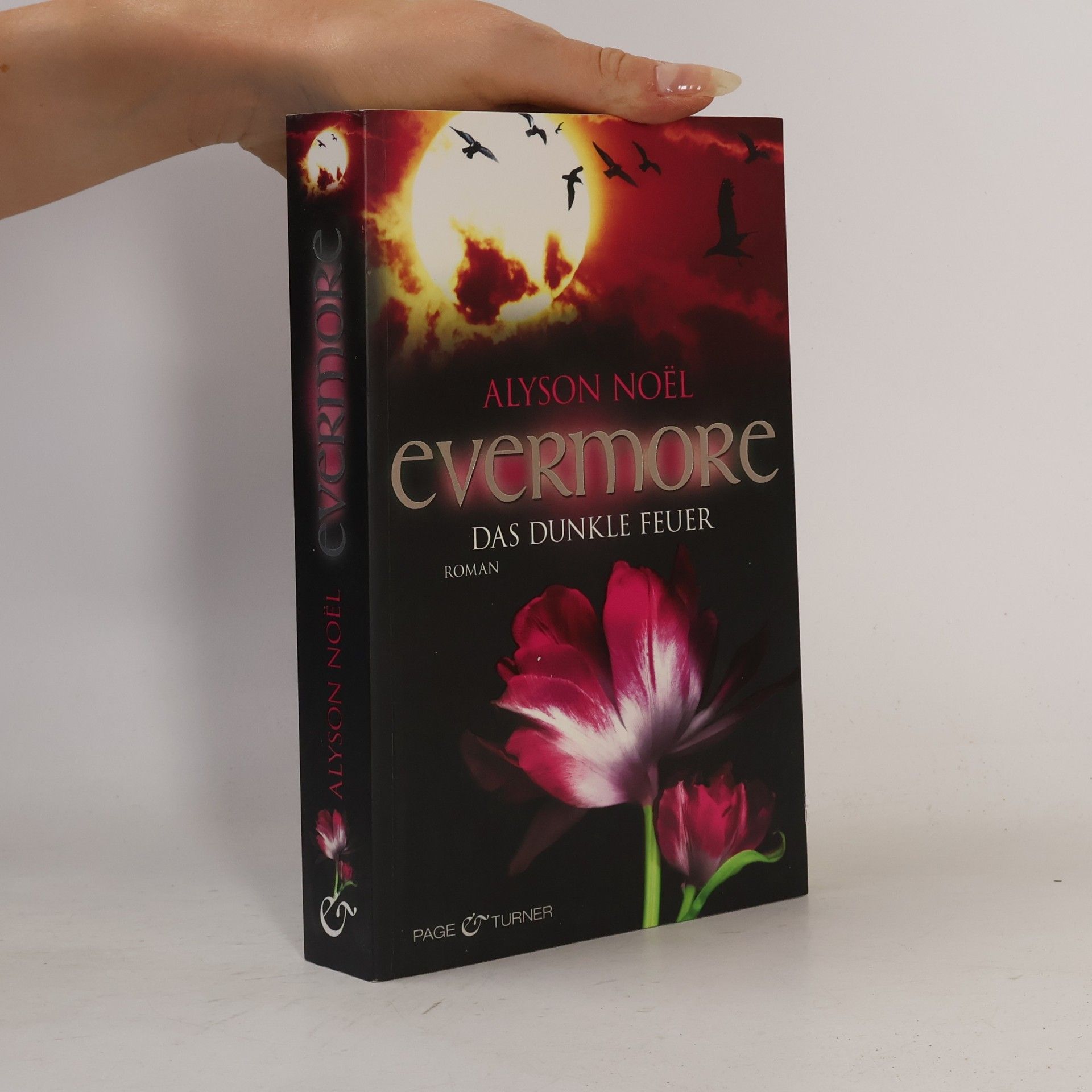 Alyson Noël Evermore: Das dunkle Feuer