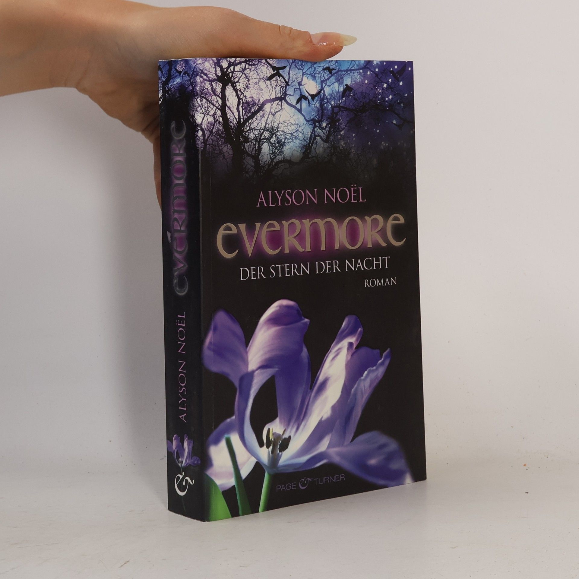 Alyson Noël Evermore: Der Stern der Nacht