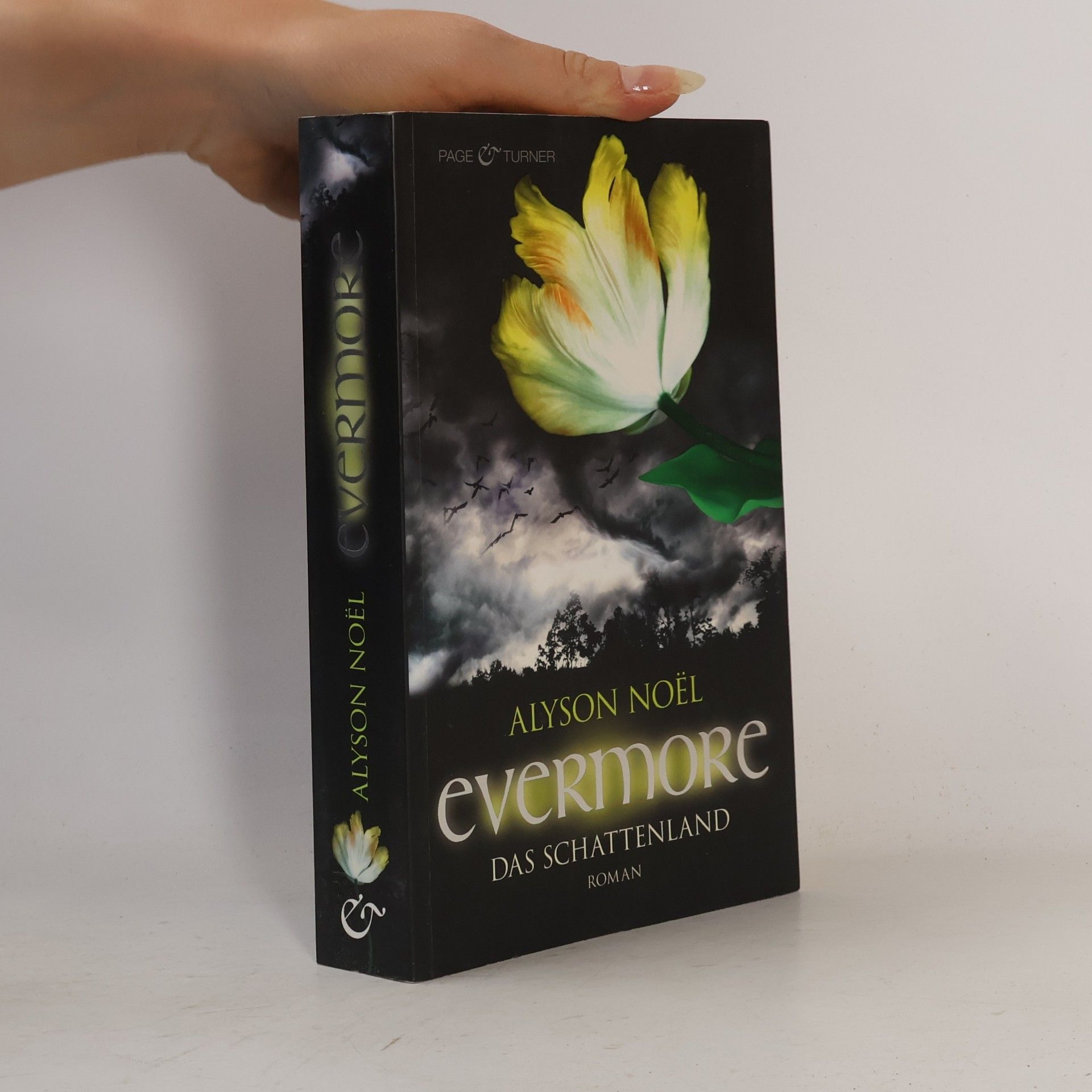 Alyson Noël Evermore: Das Schattenland