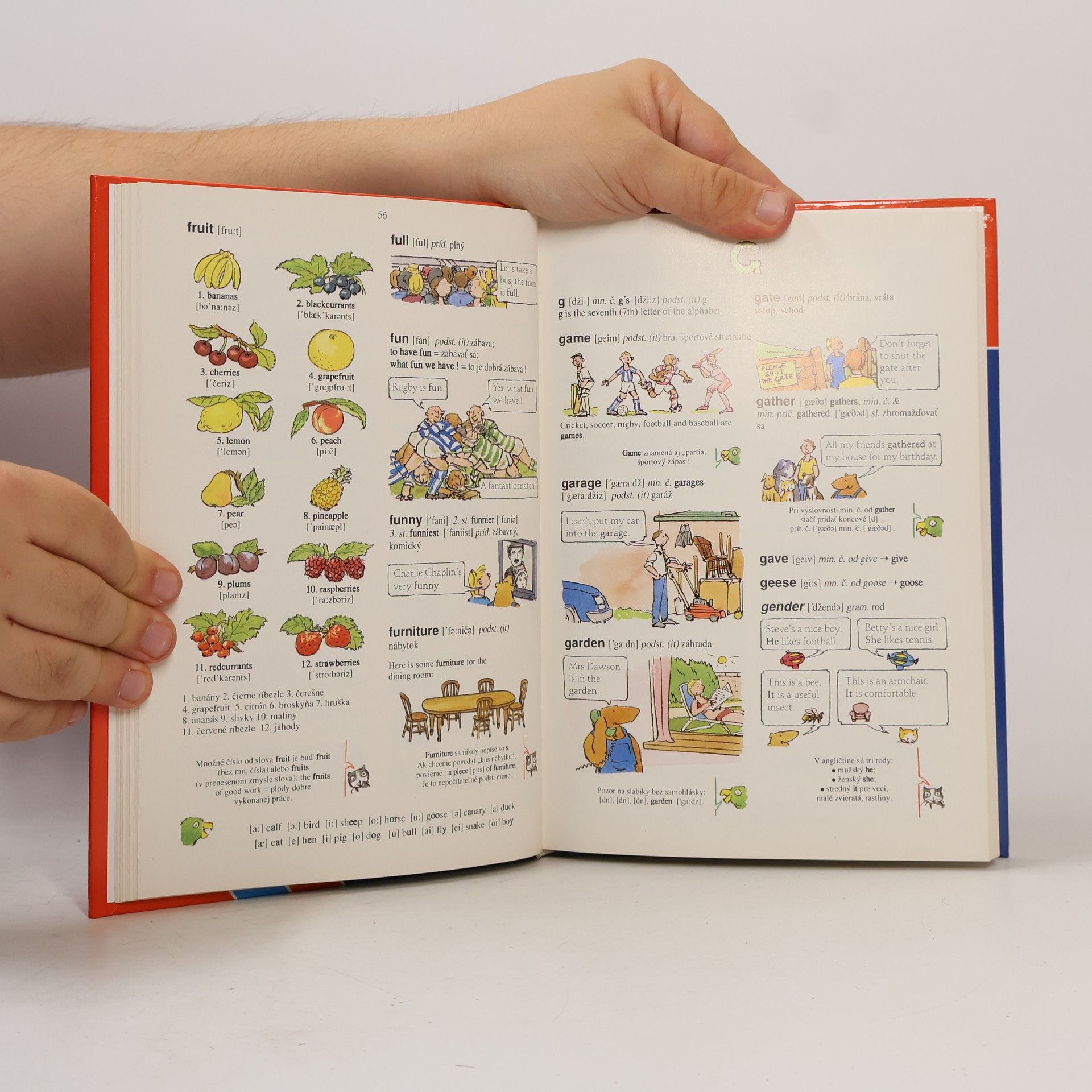 Autorenkollektiv Anglicko-slovenský slovník pre školákov