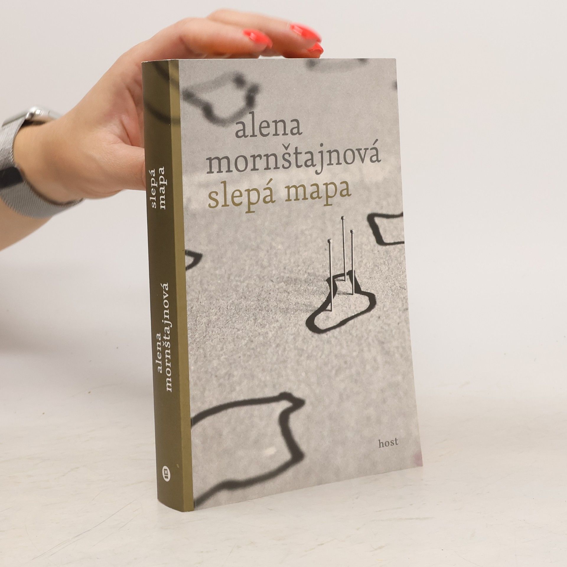 Alena Mornštajnová Slepá mapa