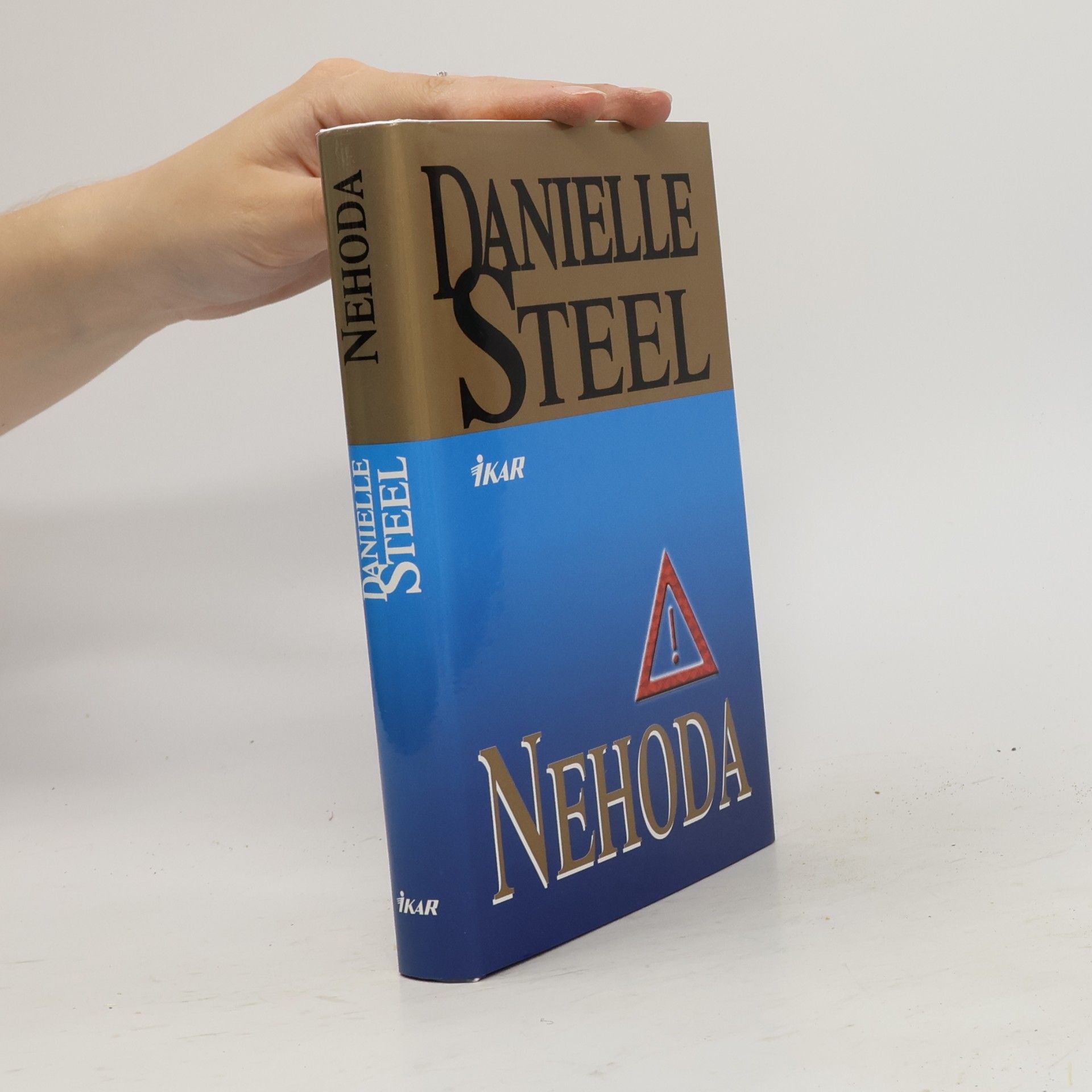 Danielle Steel Nehoda