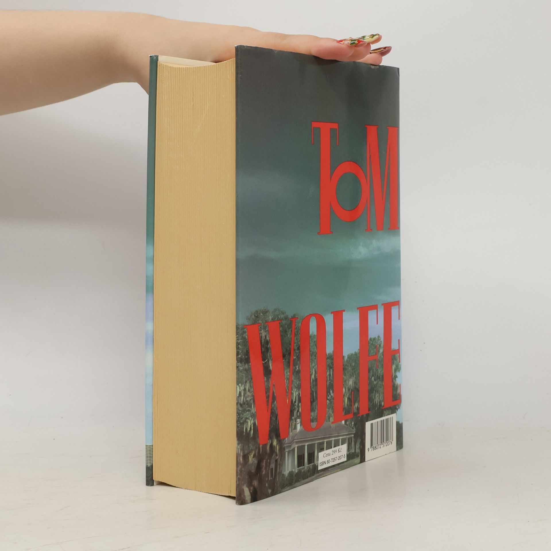 Tom Wolfe Muž na vrcholu