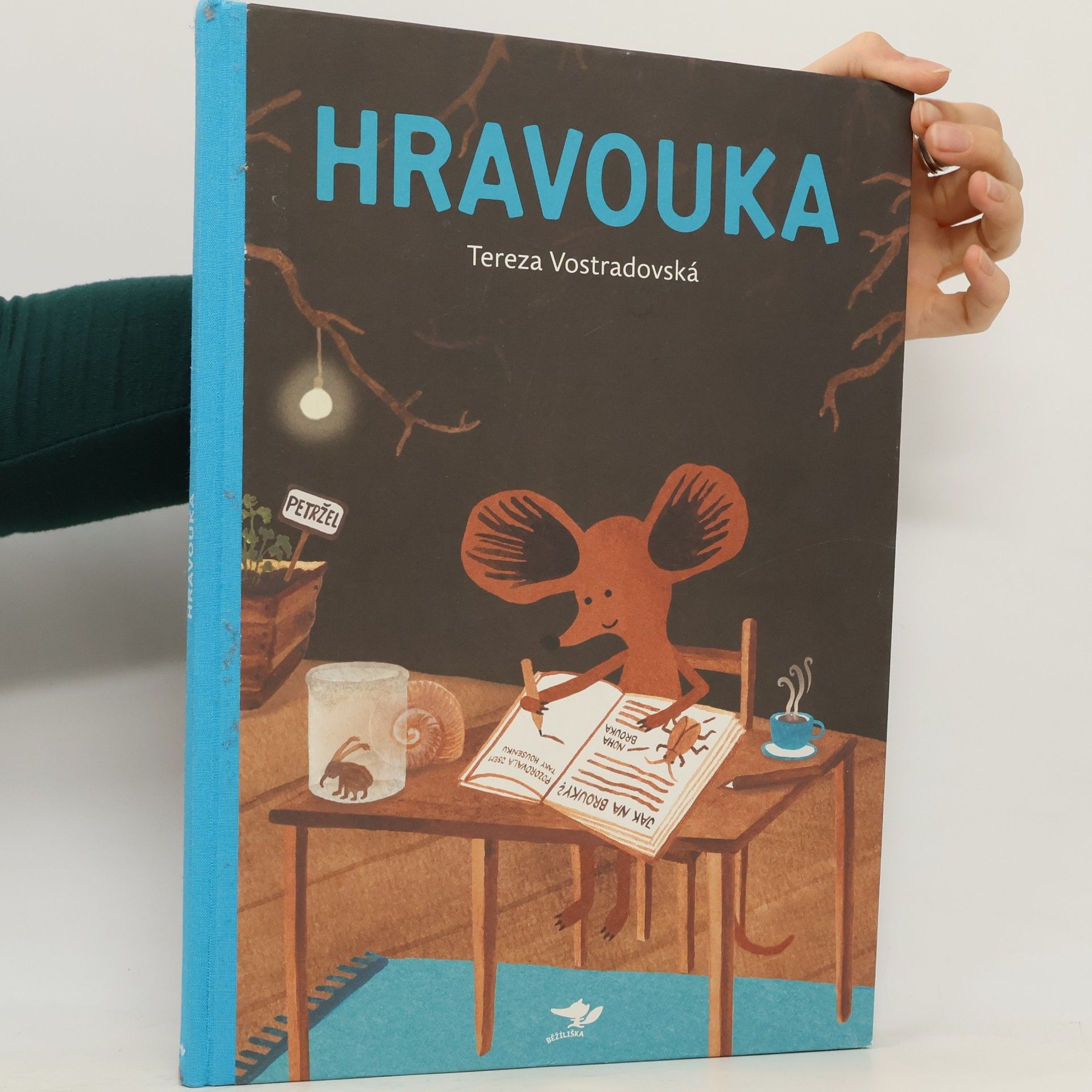 Tereza Vostradovská Hravouka