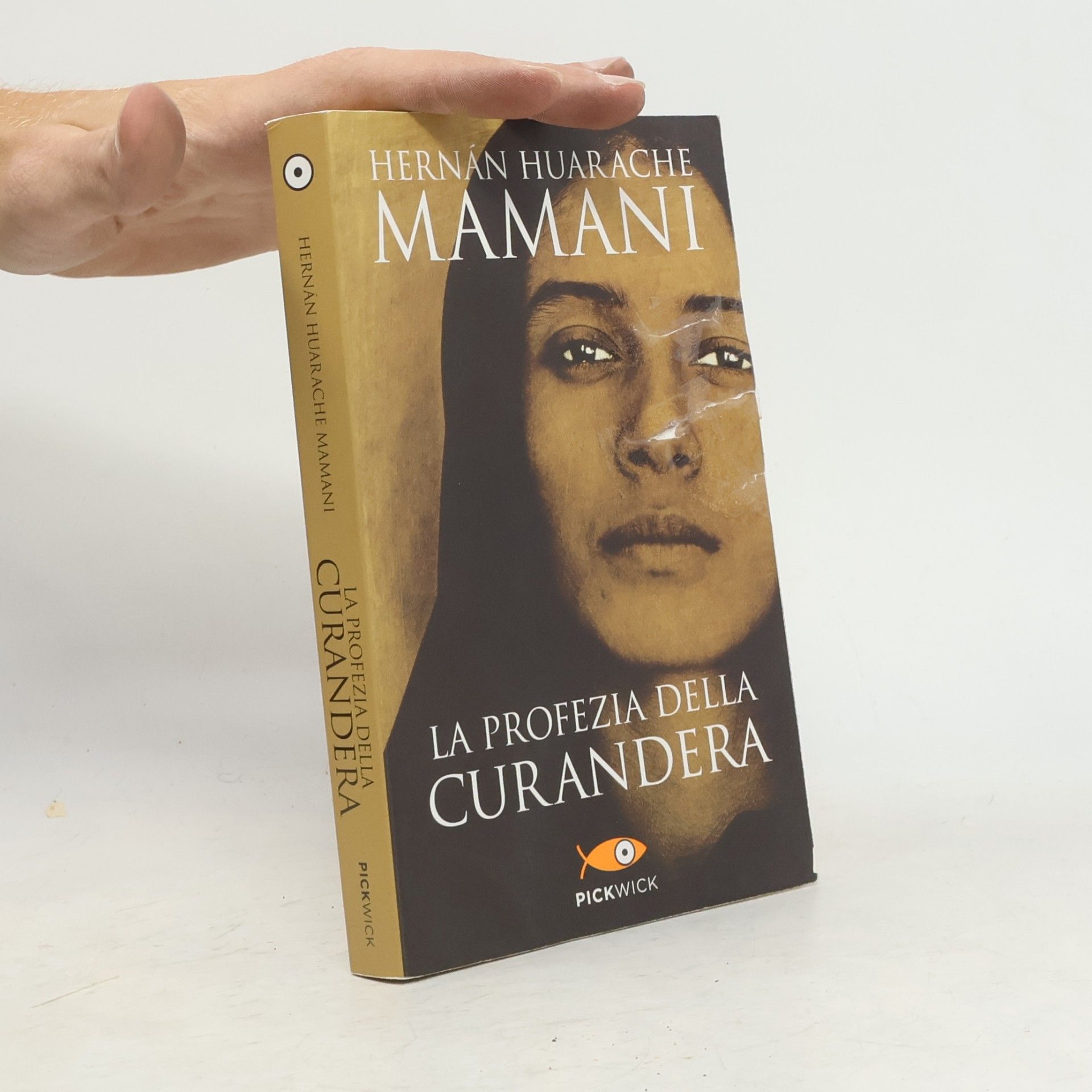 La profezia della curandera