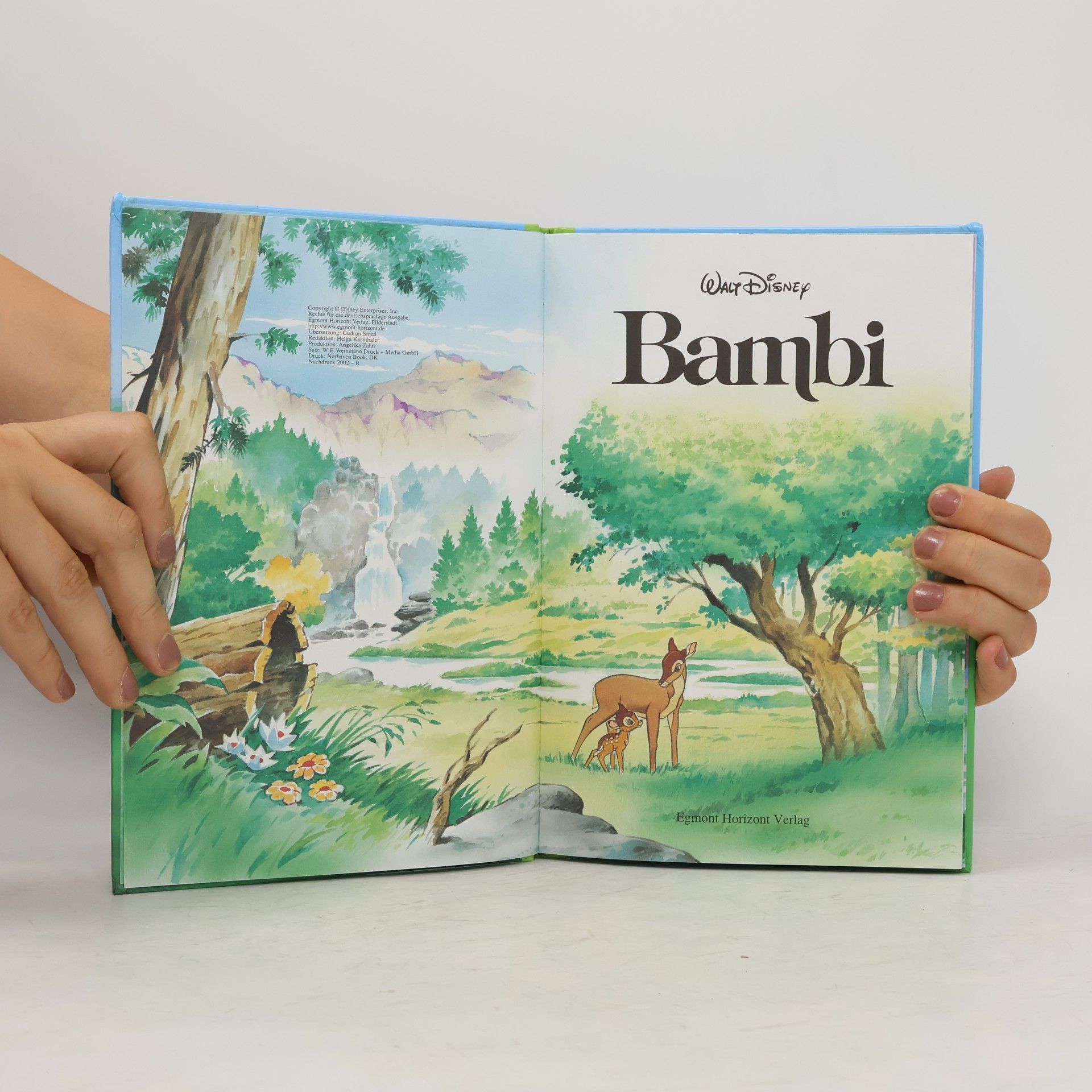Walt Disney Bambi