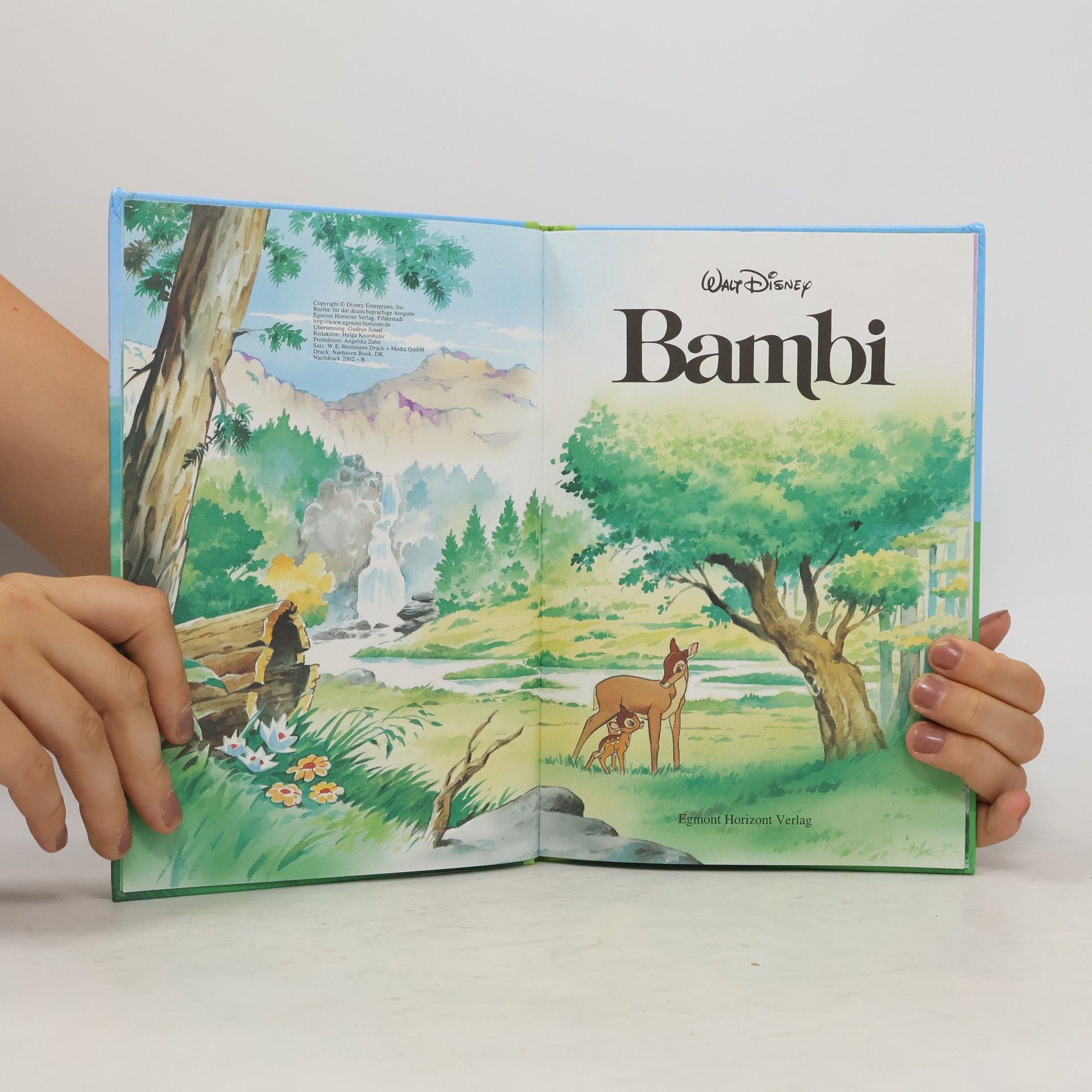 Walt Disney Bambi