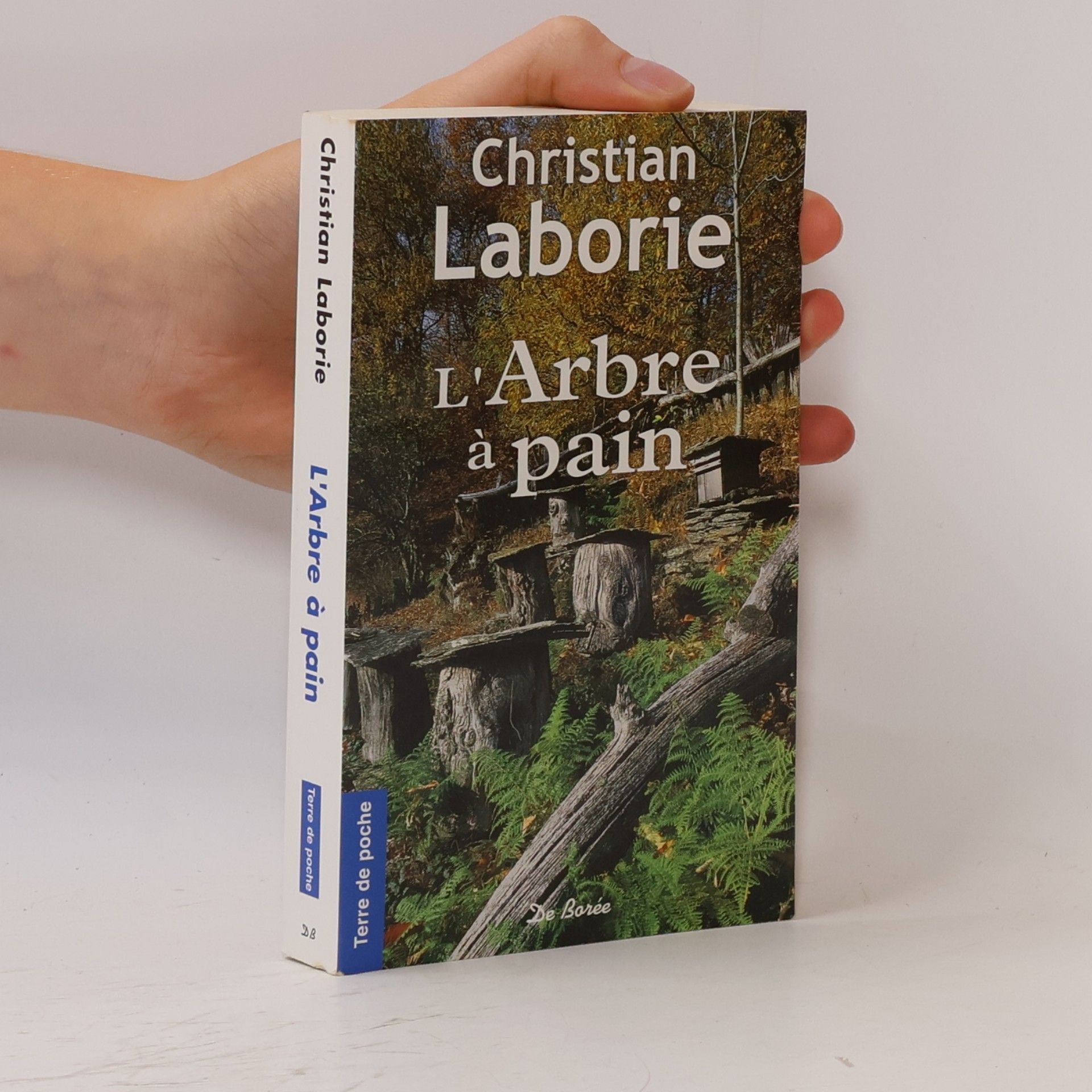 Christian Laborie L'Arbre à pain
