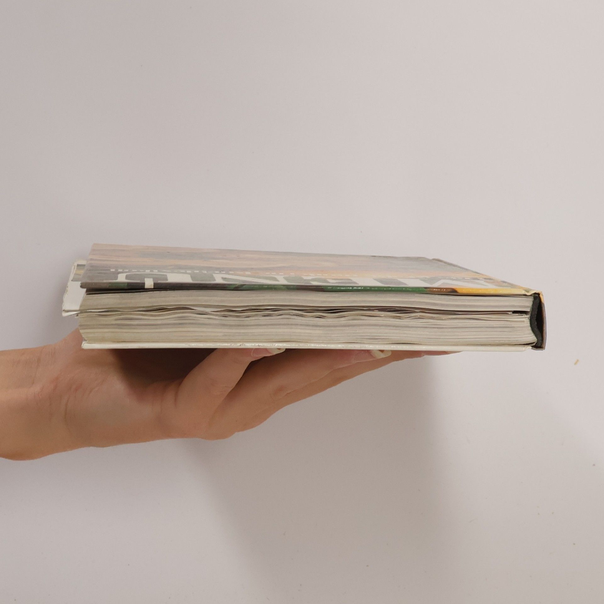 Autorenkollektiv Menu 9. Das große moderne Kochlexikon