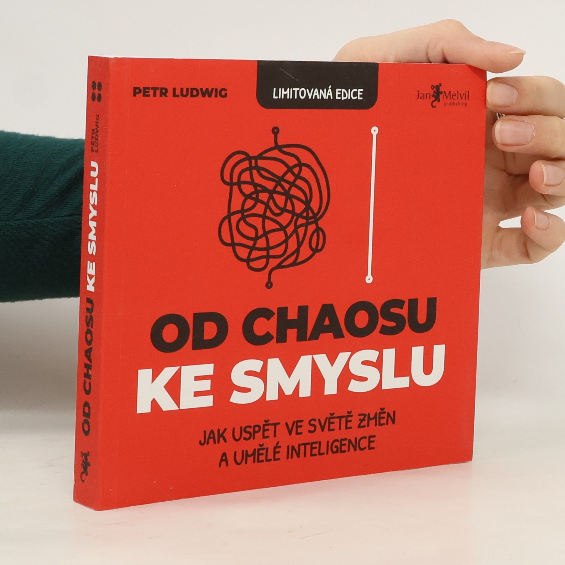 Od chaosu ke smyslu
