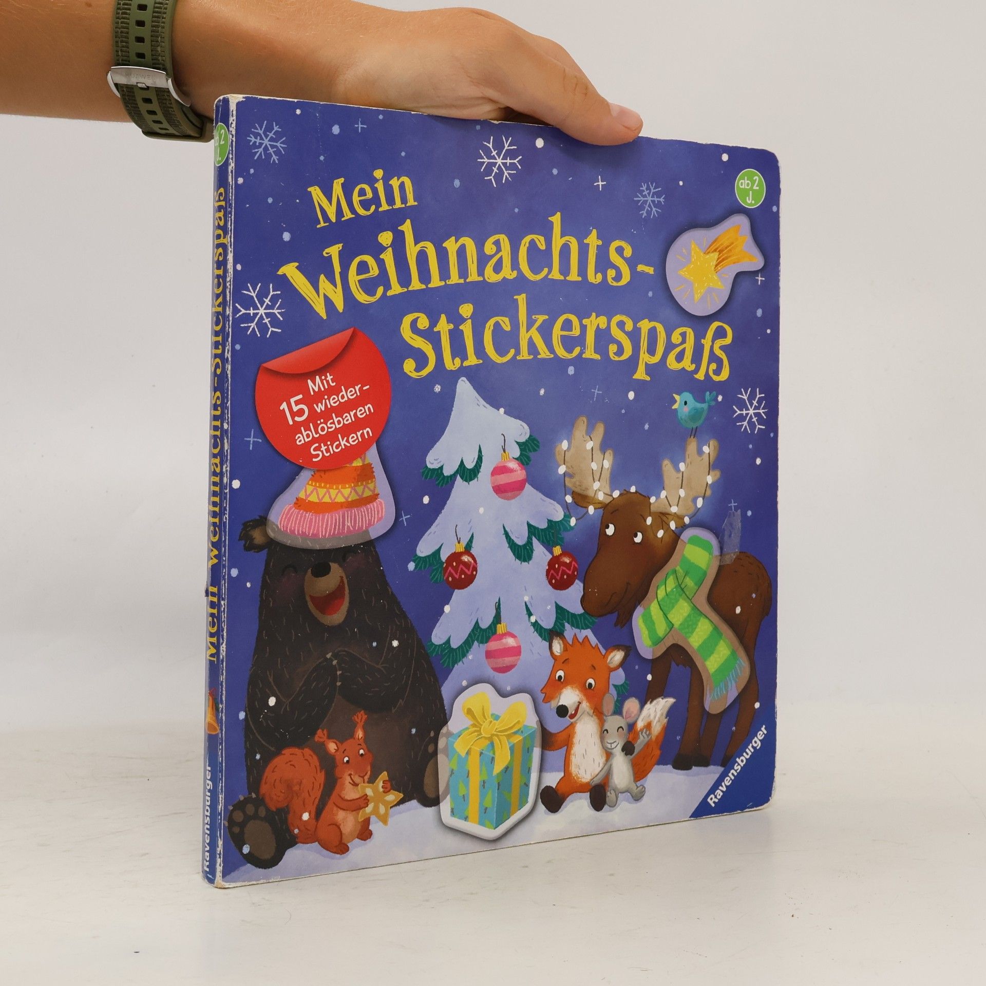 Christine Faust Mein Weihnachts-Stickerspaß