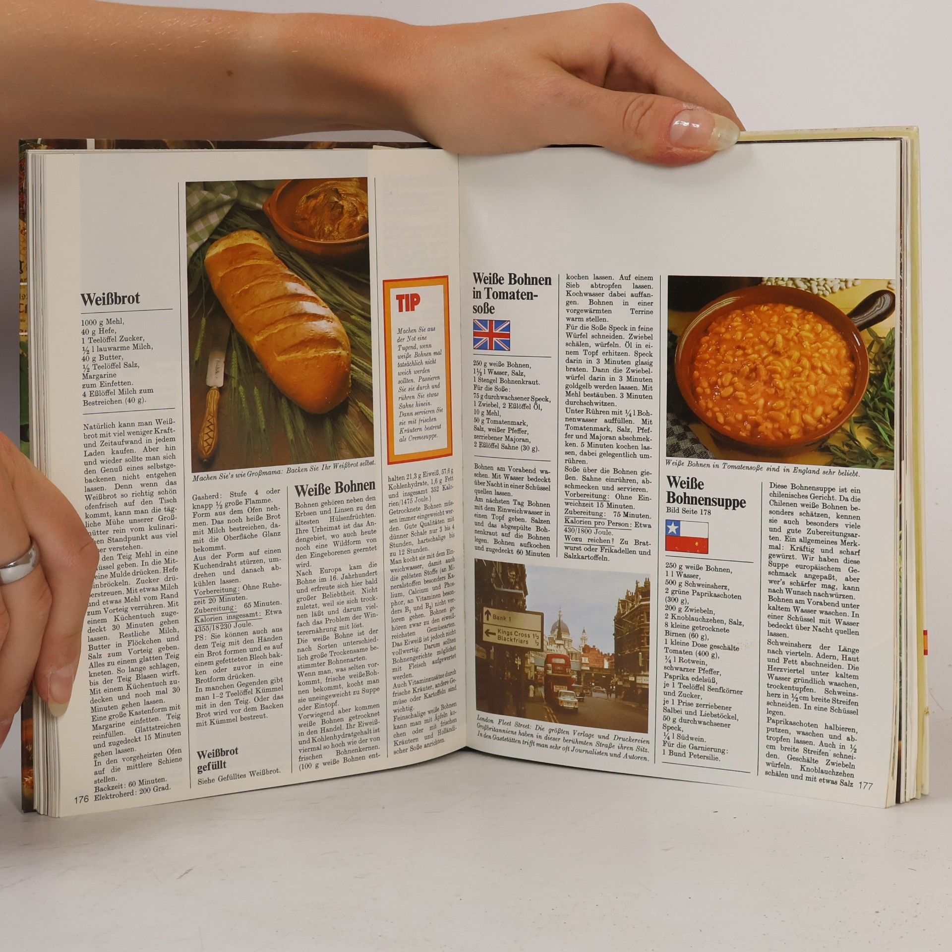 Autorenkollektiv Menu. Das große moderne Kochlexikon 10