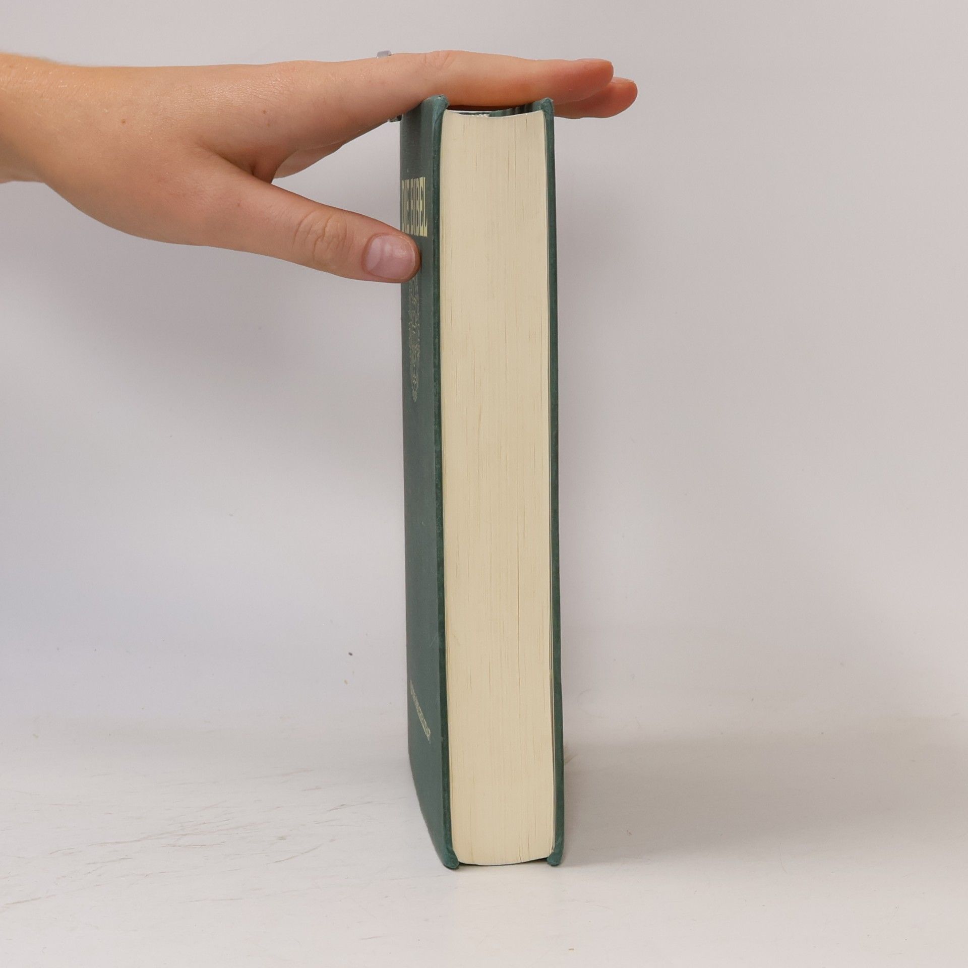 Martin Luther Die Bibel