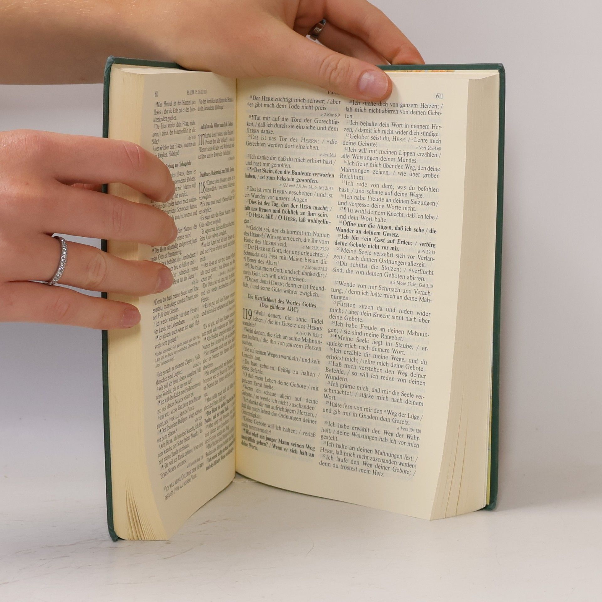 Martin Luther Die Bibel