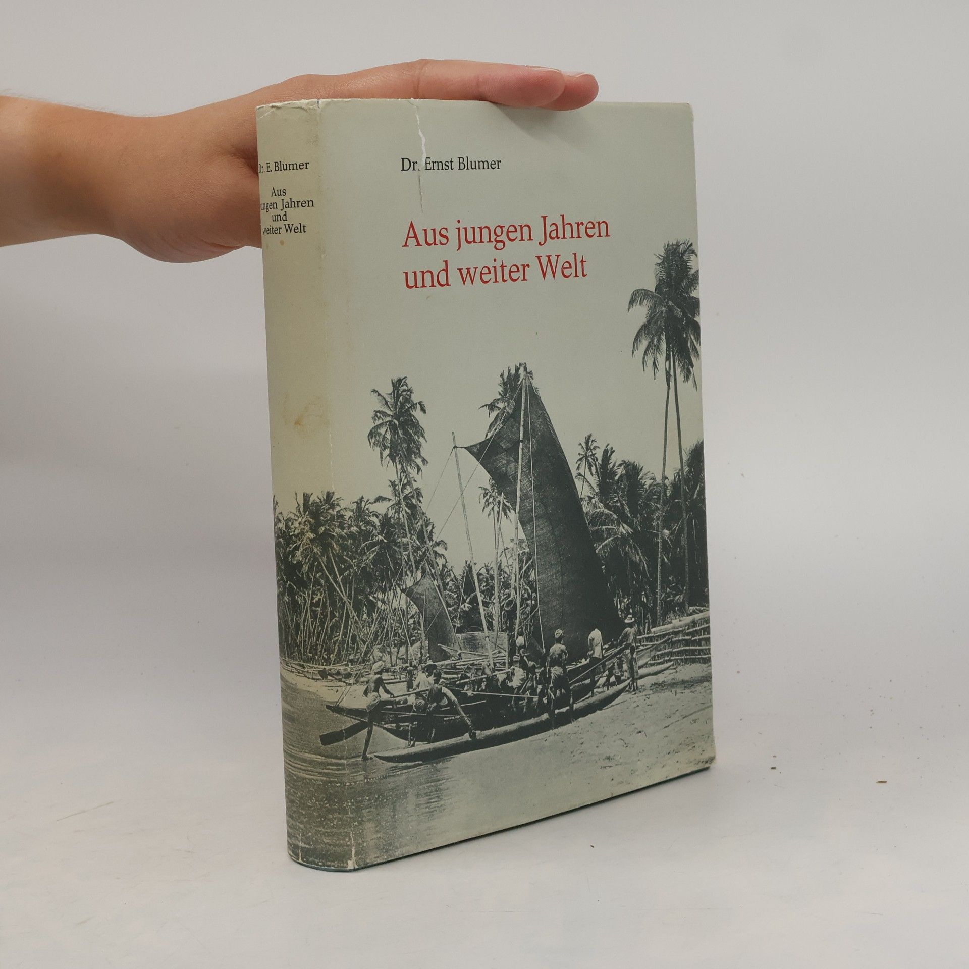 Ernst Blumer Aus jungen Jahren und weiter Welt