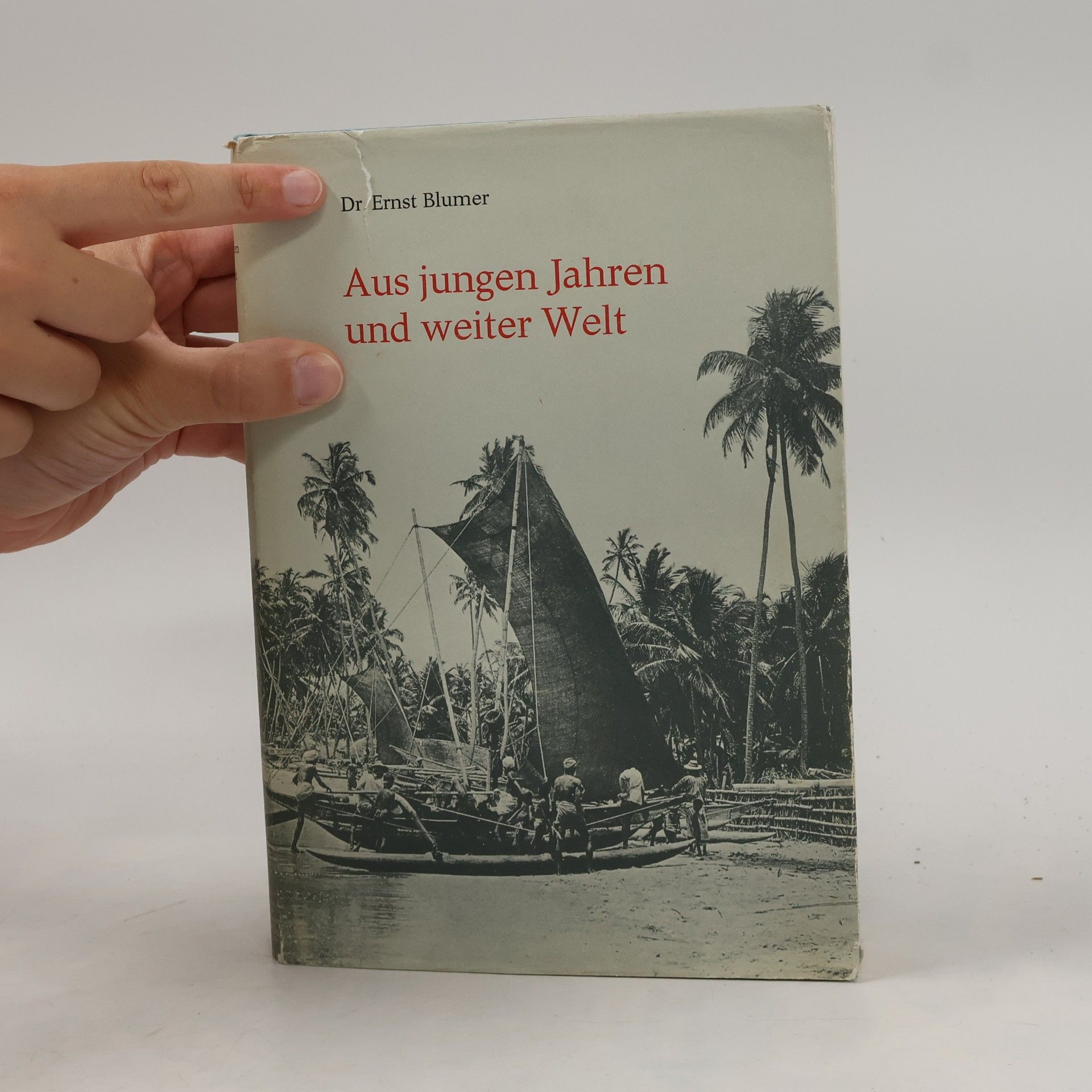 Ernst Blumer Aus jungen Jahren und weiter Welt