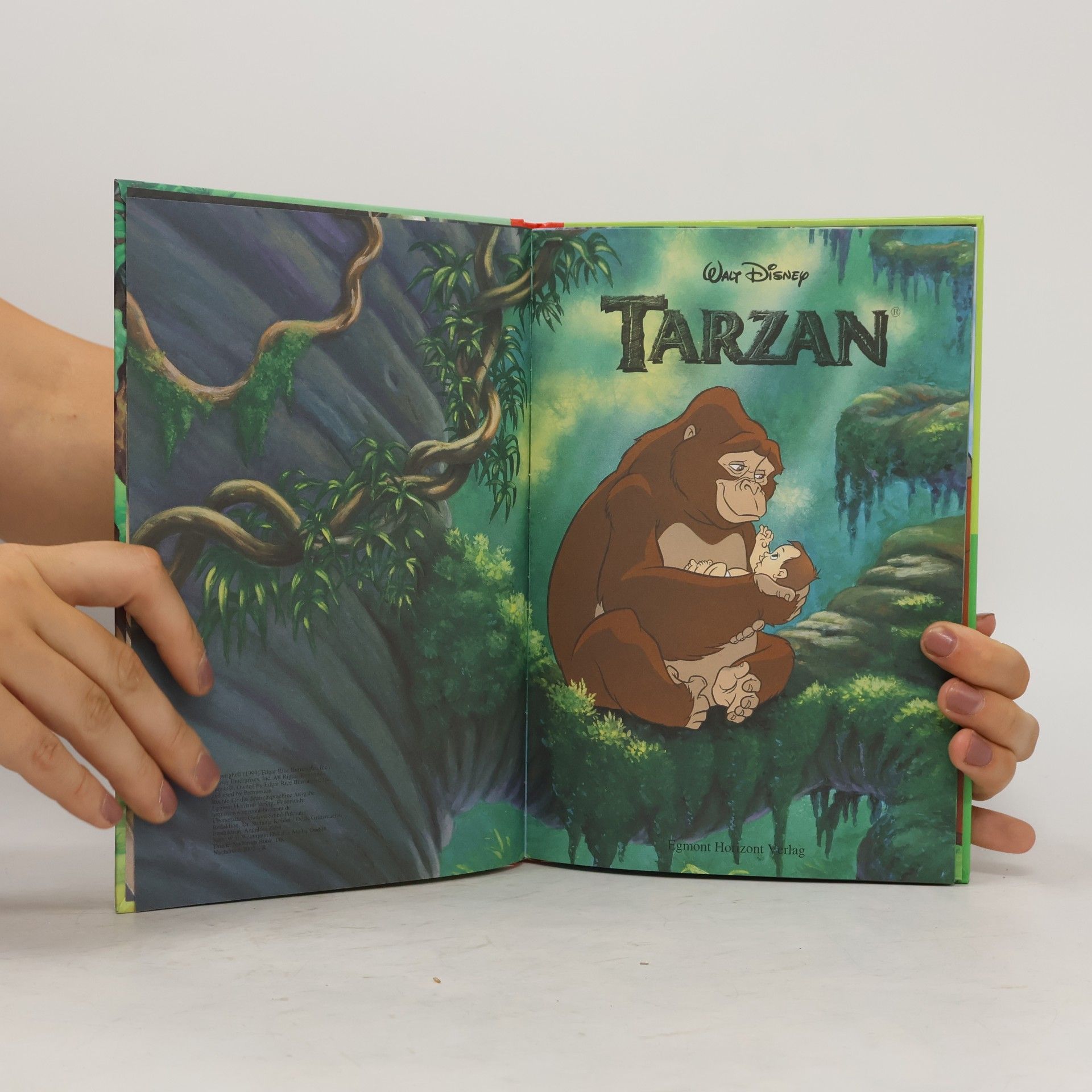 Walt Disney Tarzan