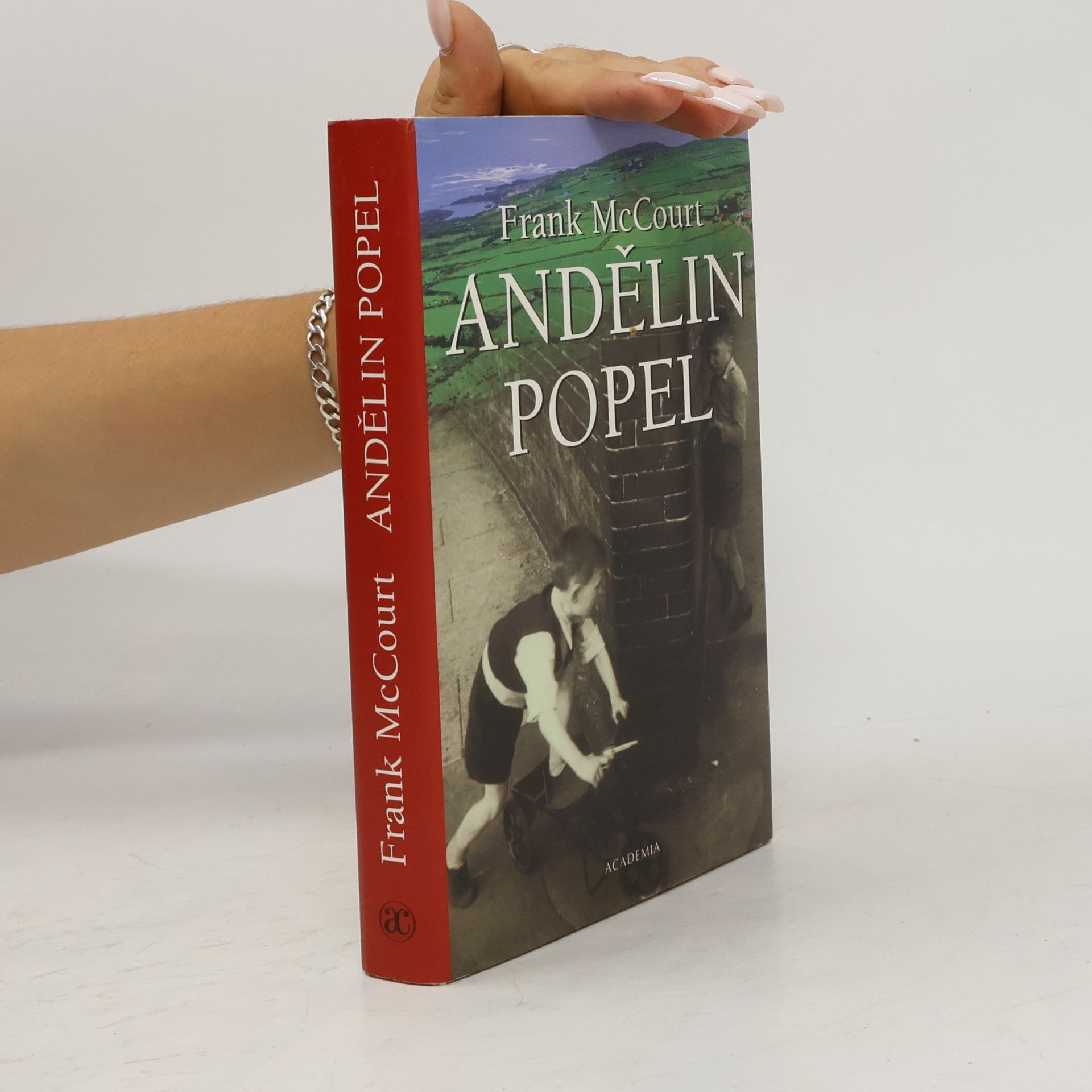 Frank McCourt Andělin popel