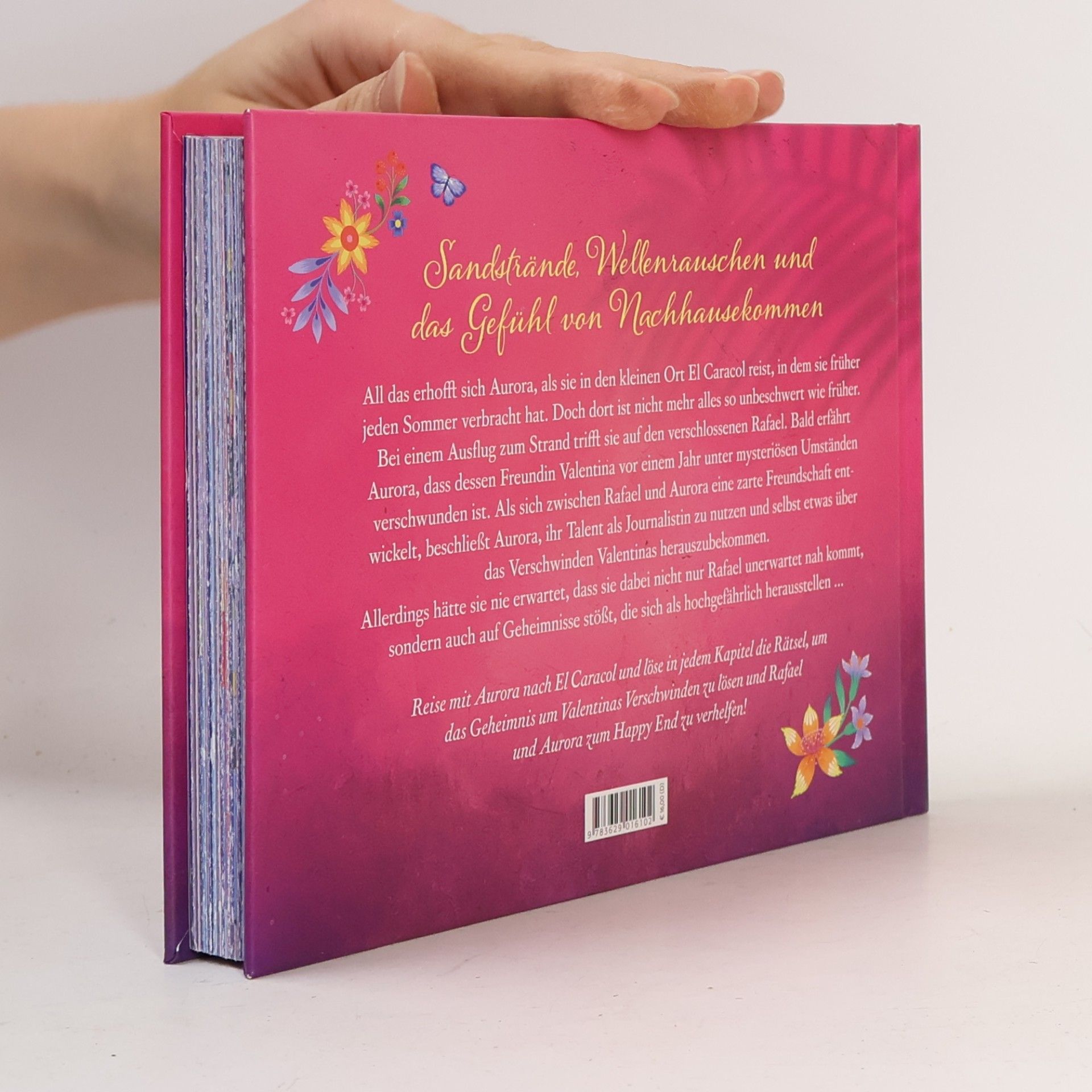 Nina Bilinszki Summer of Mexican Mystery