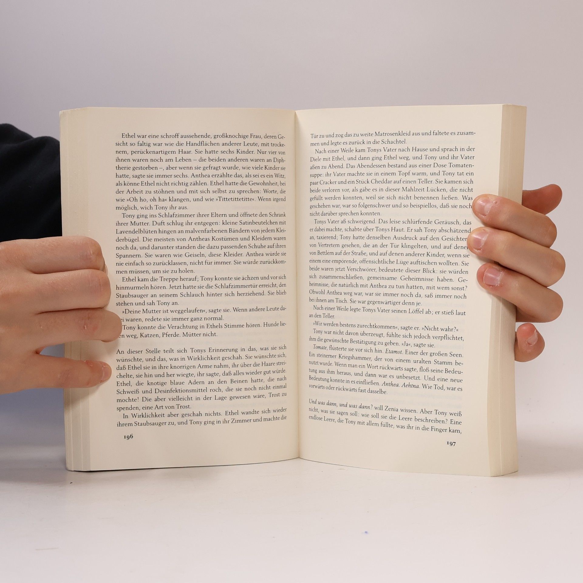 Margaret Atwood Die Räuberbraut