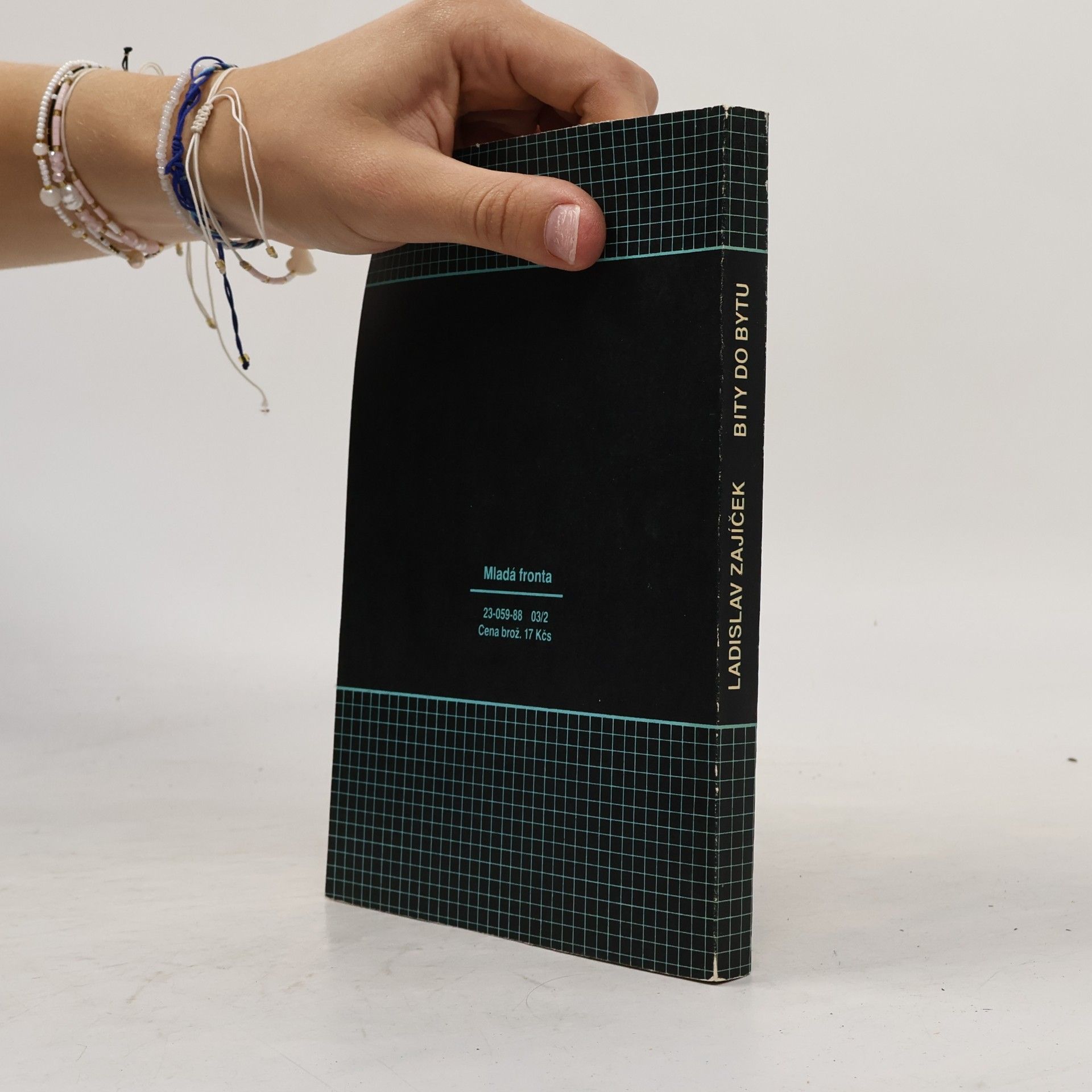 Ladislav Zajíček Bity do bytu: Základy programování ve strojovém kódu - assembleru Z80