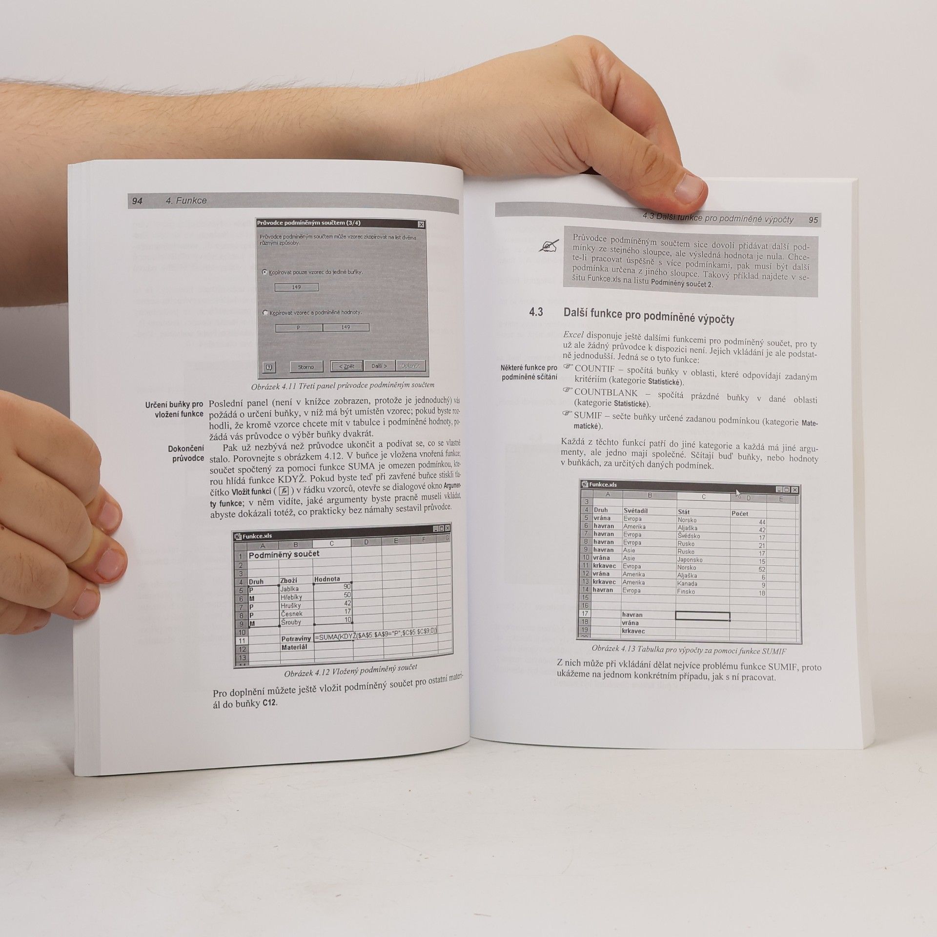 Josef Pecinovský Excel 2002 : podrobný průvodce pokročilého uživatele