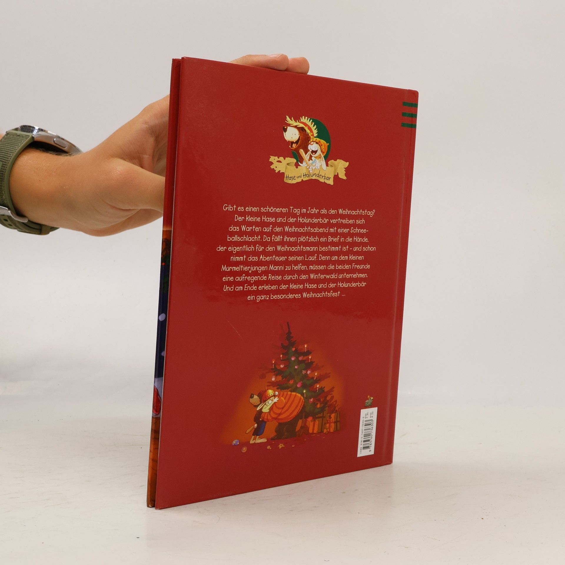 Walko Die verlorene Weihnachtspost