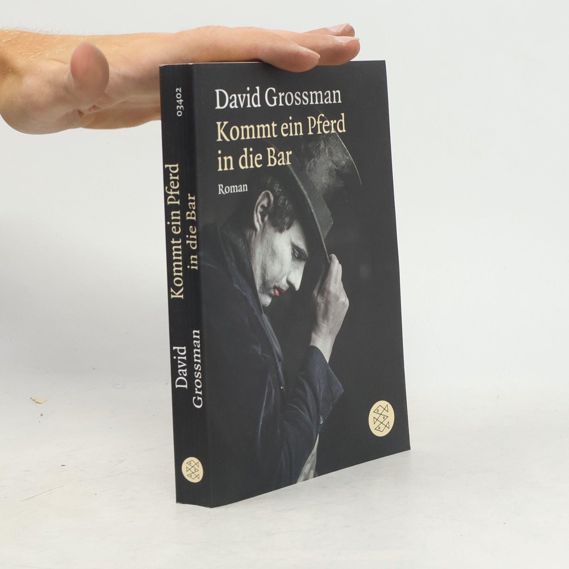 David Grossman Kommt ein Pferd in die Bar
