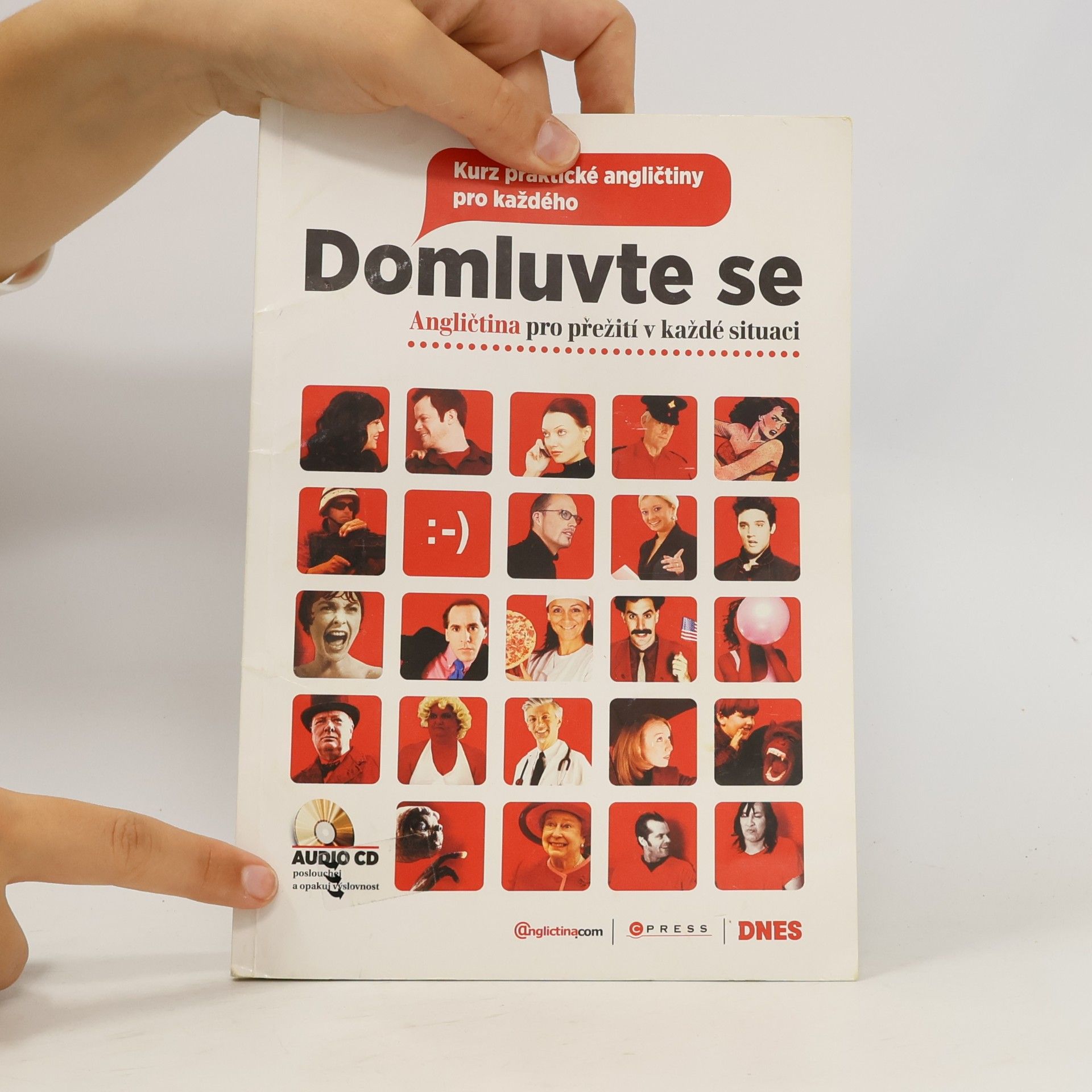 Kolektiv autorů Domluvte se: angličtina pro přežití v každé situaci