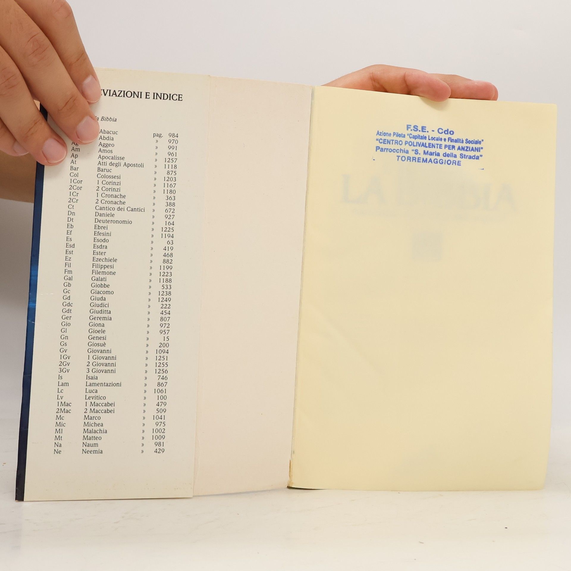 Carlo Meconi La Bibbia