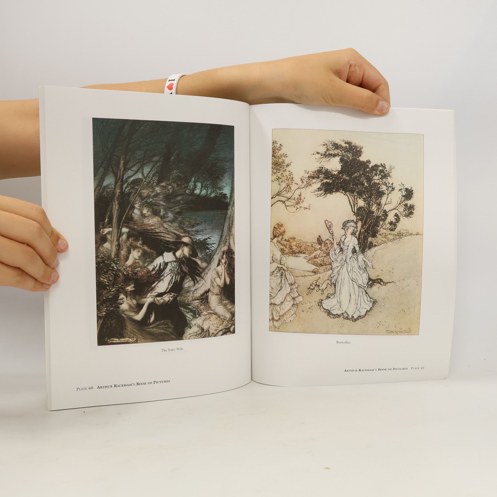 Arthur Rackham The Arthur Rackham Treasury