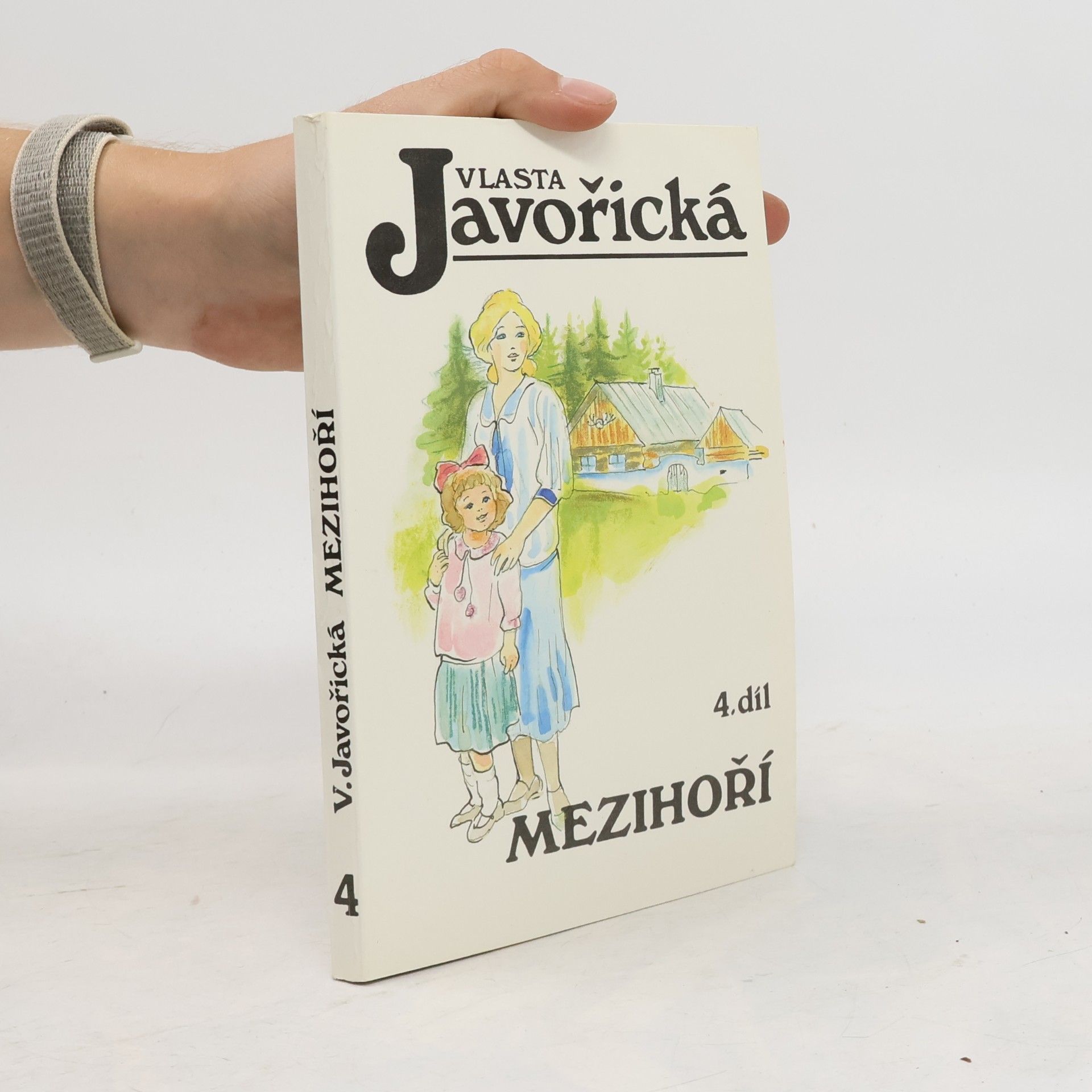 Mezihoří 4
