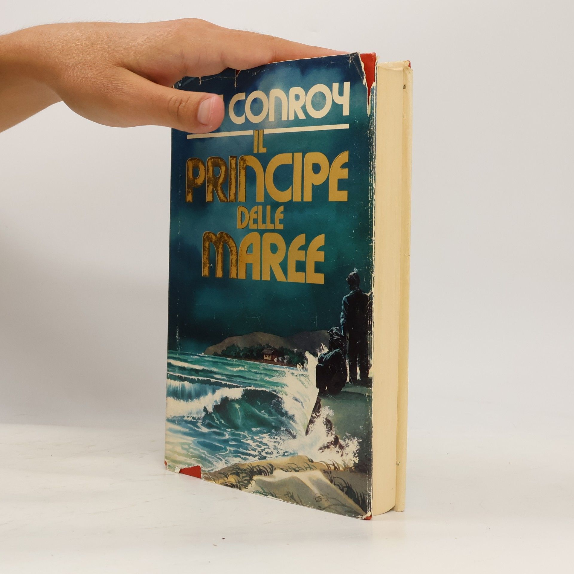 Pat Conroy Il principe delle maree