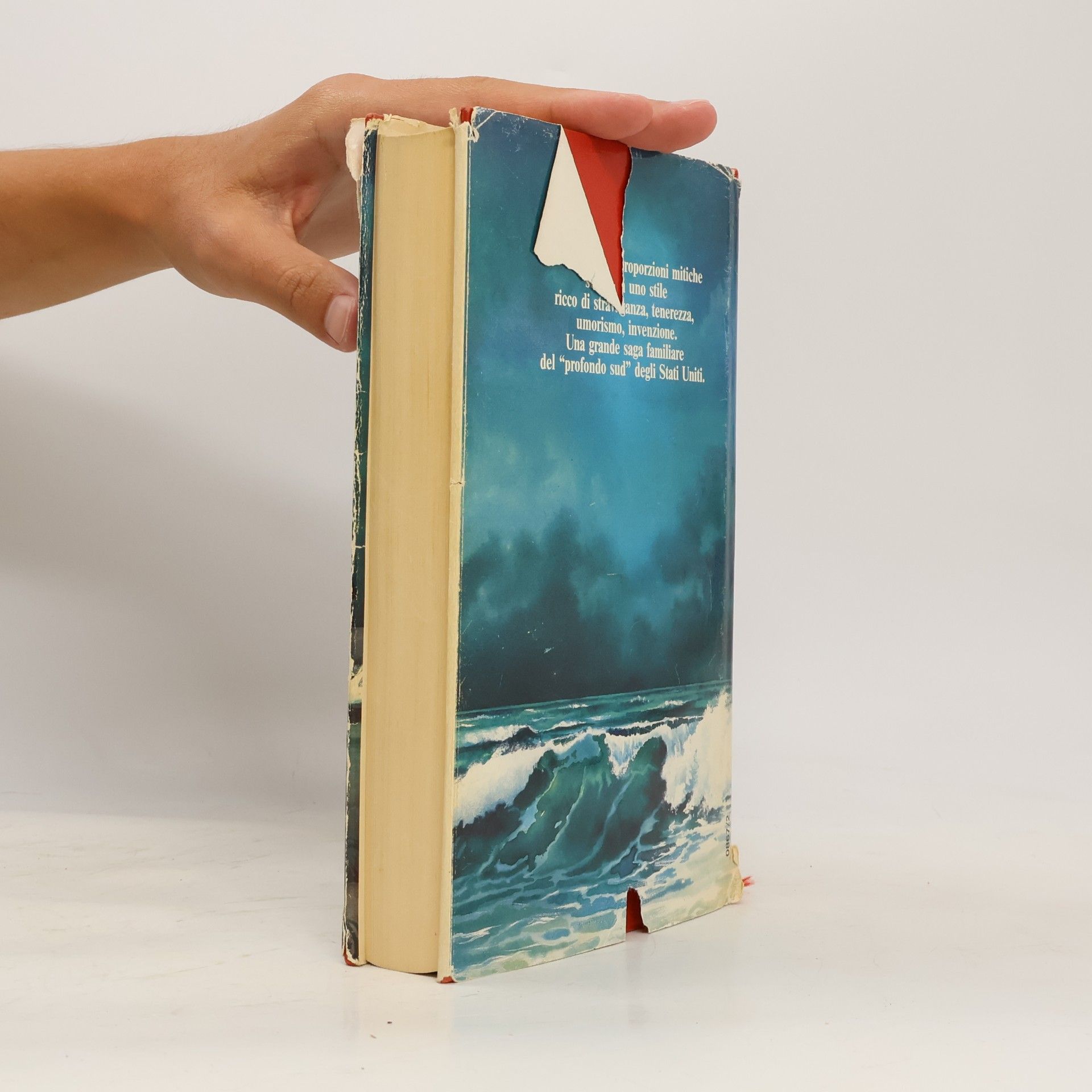 Pat Conroy Il principe delle maree